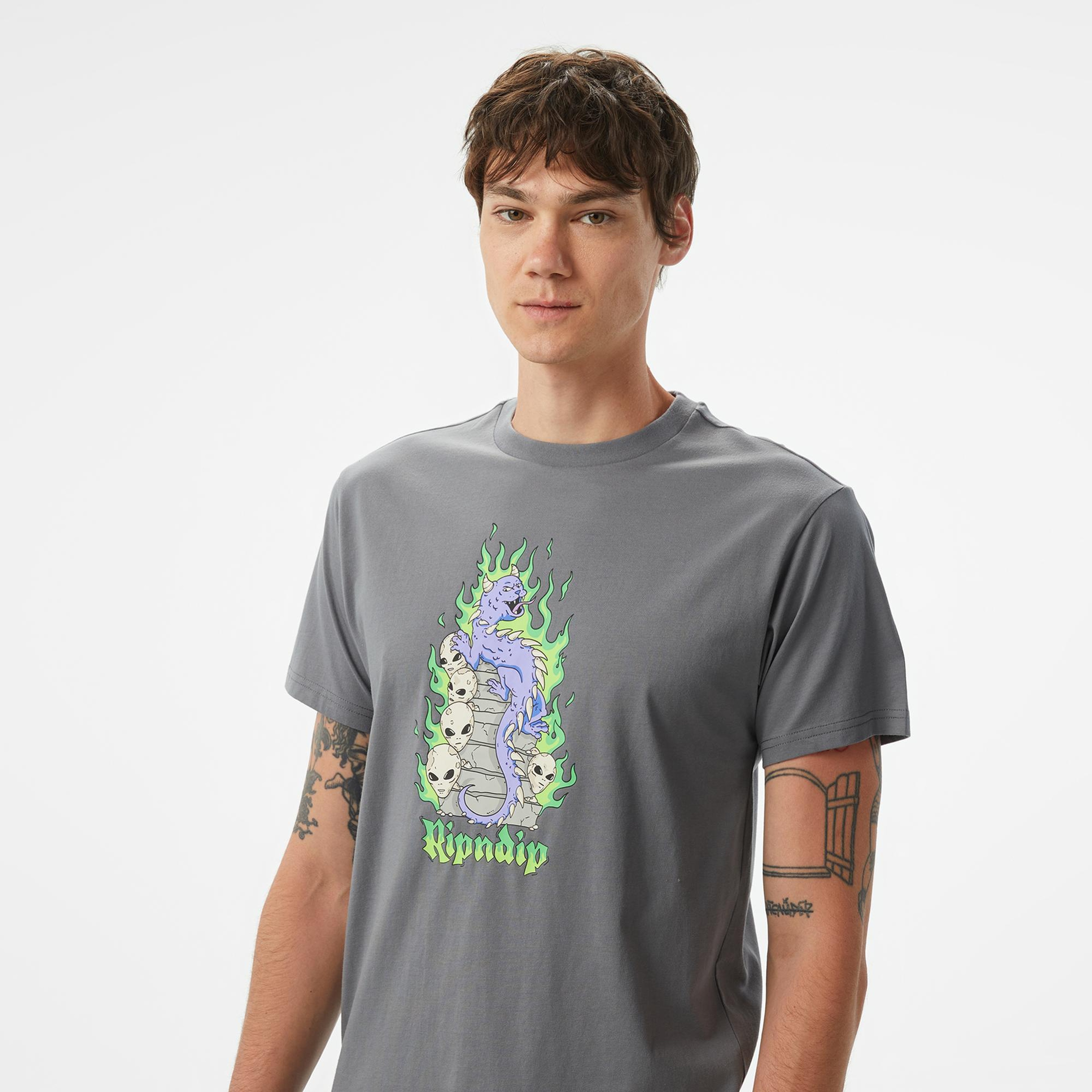 Ripndip Horntrail Erkek Gri T-Shirt