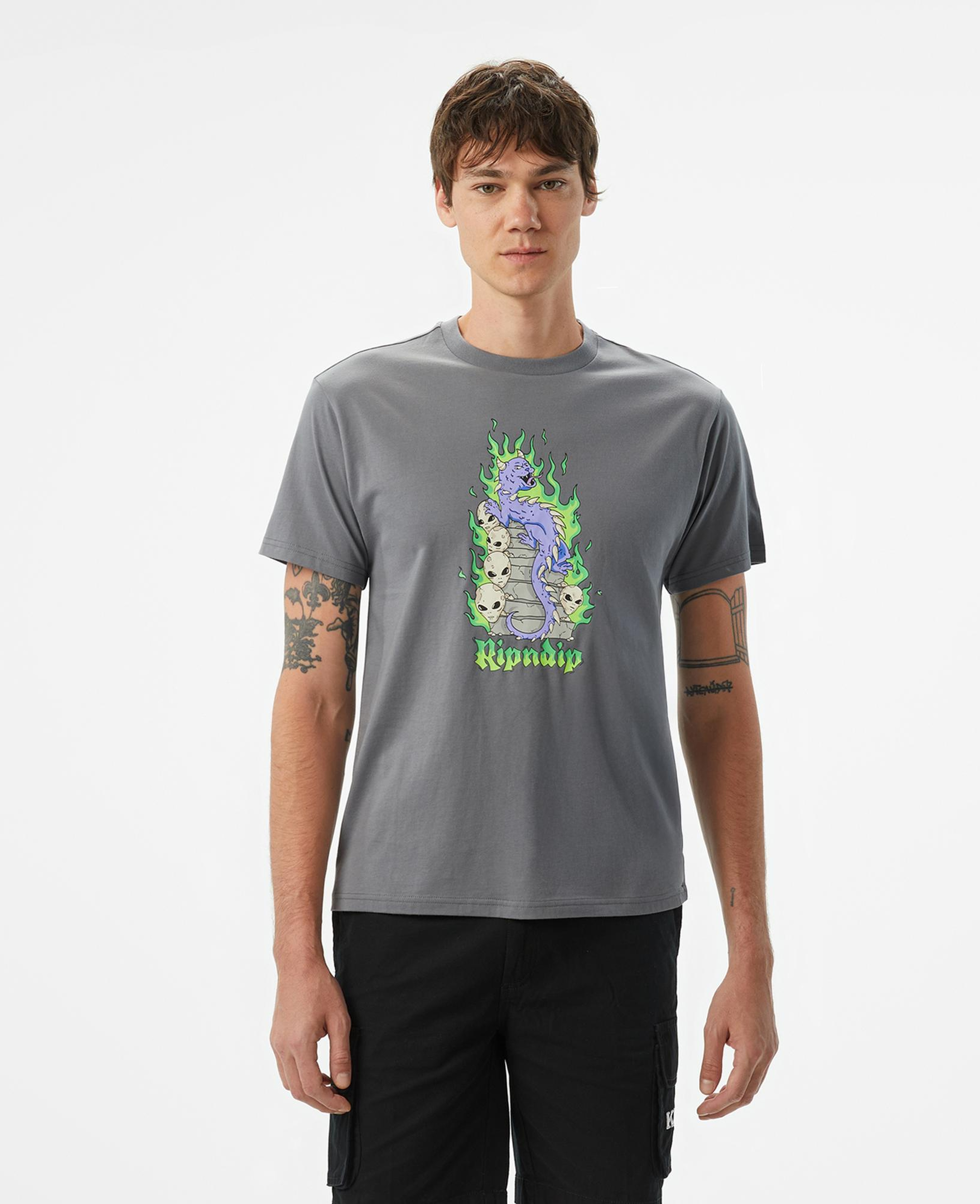 Ripndip Horntrail Erkek Gri T-Shirt