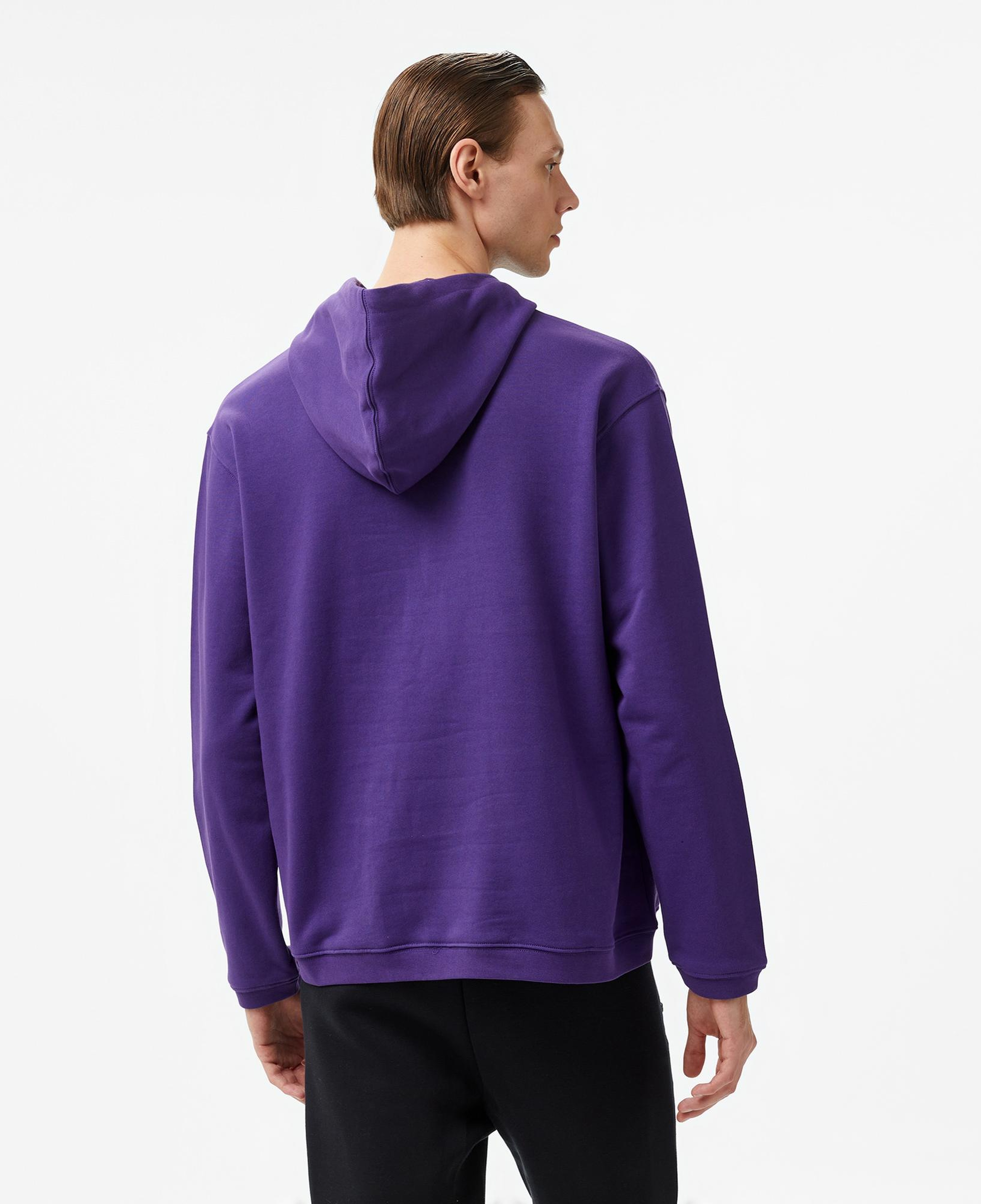 Les Benjamins 303 Erkek Mor Hoodie