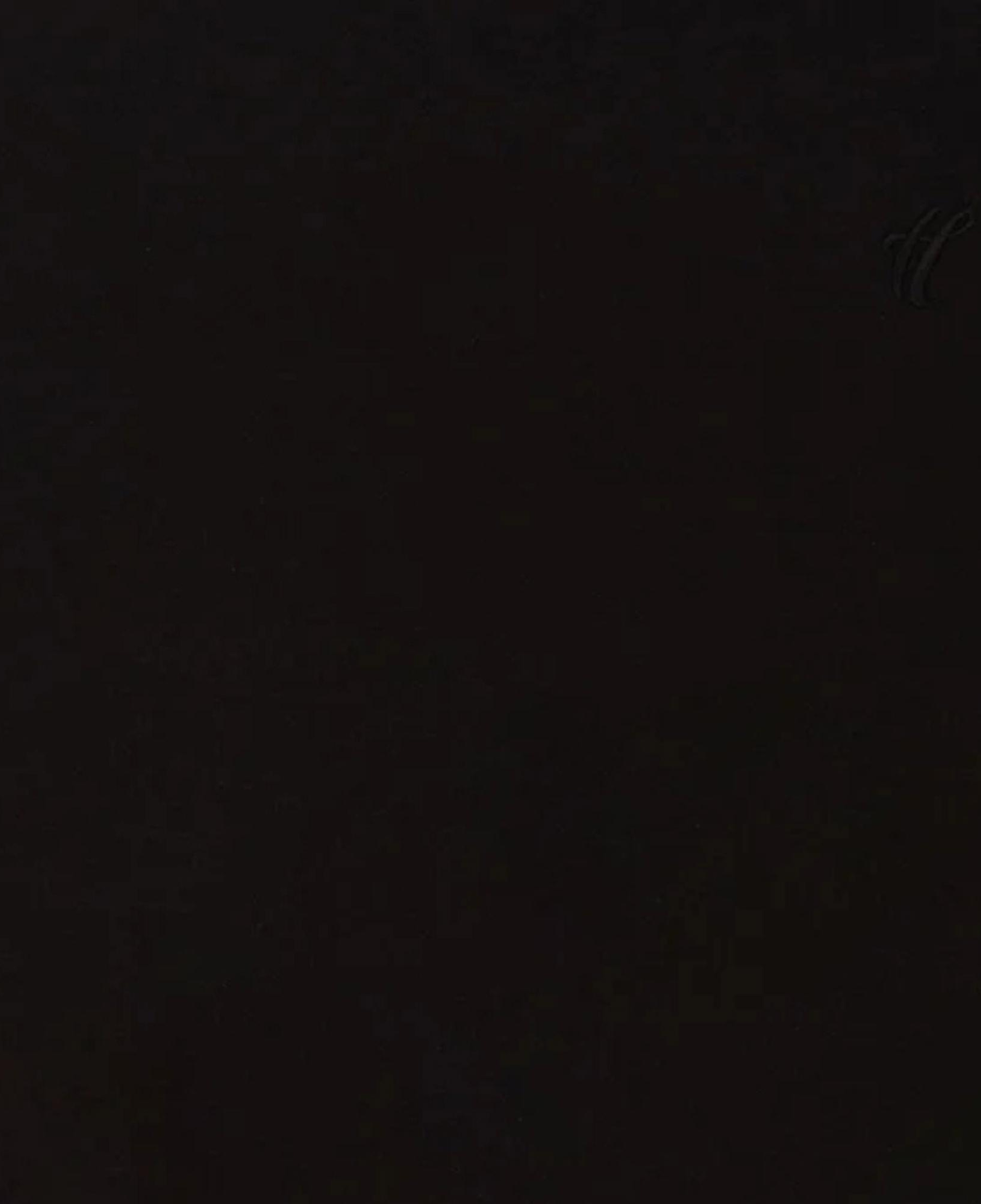 The Hundreds Bandini Erkek Siyah T-Shirt