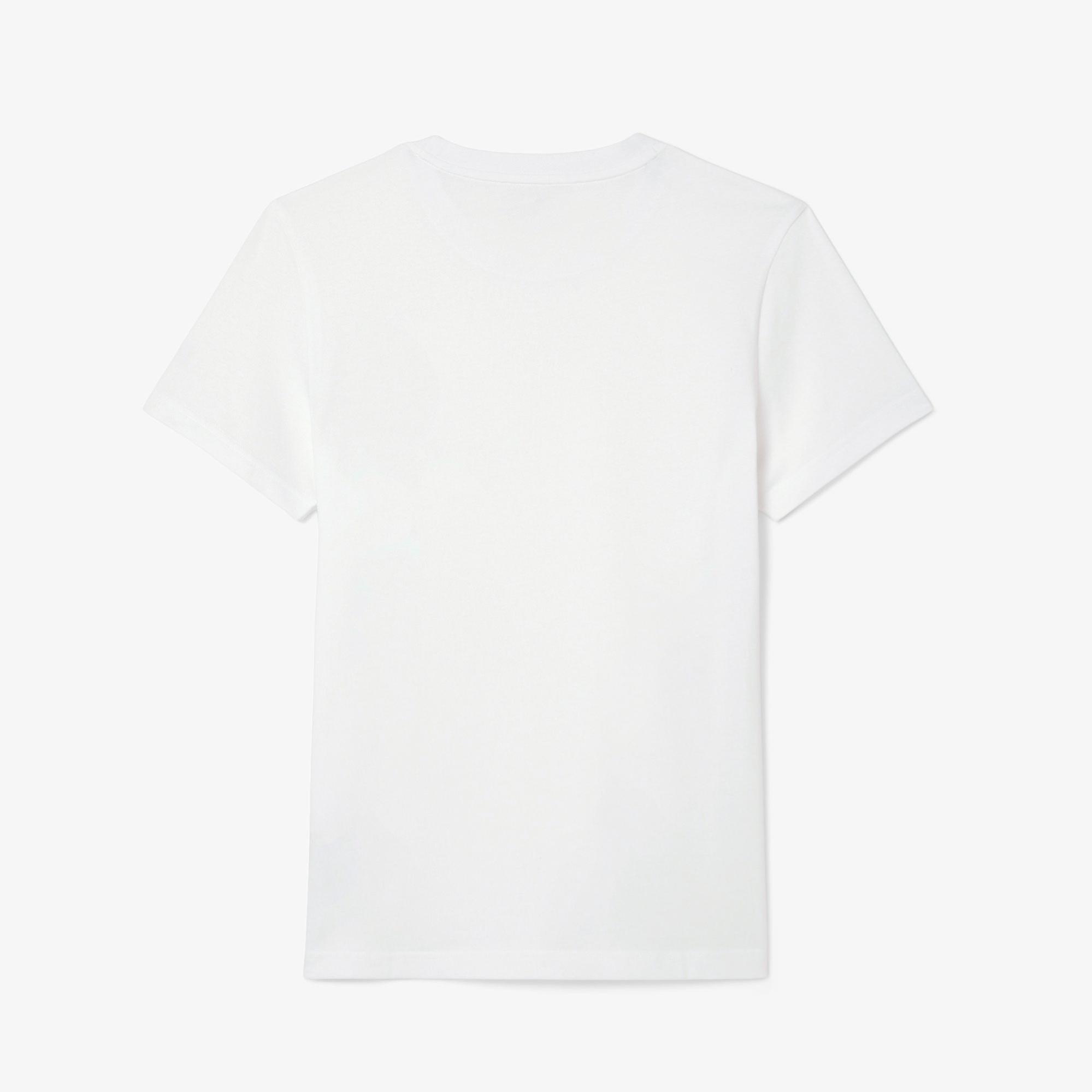 Lacoste Tennis x Novak Djokovic Erkek Bisiklet Yaka Baskılı Beyaz T-Shirt & Şapka Seti