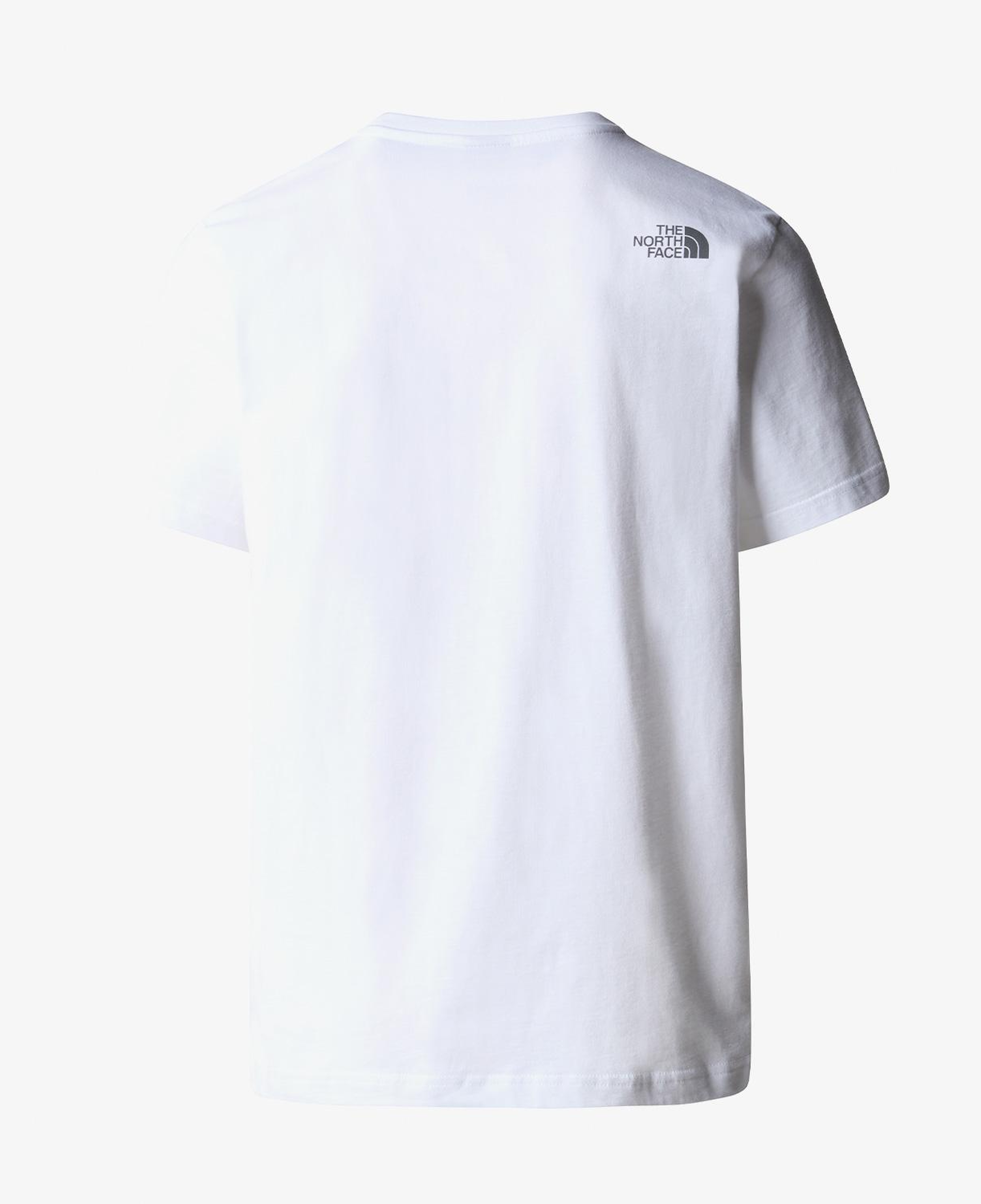 The North Face Ss Mountaın Lıne Erkek Beyaz T-Shirt