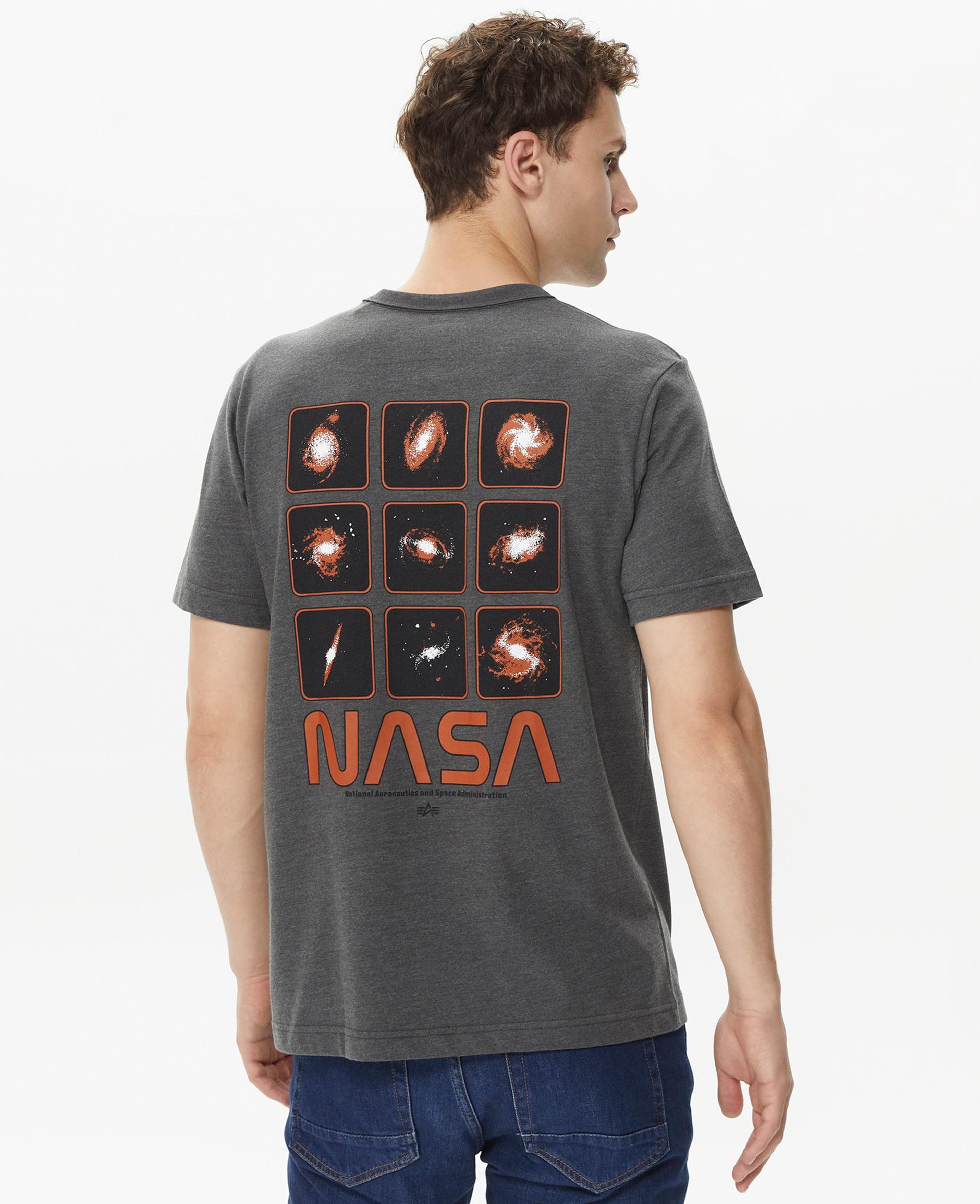 Alpha Industries Nasa Erkek Gri T-Shirt