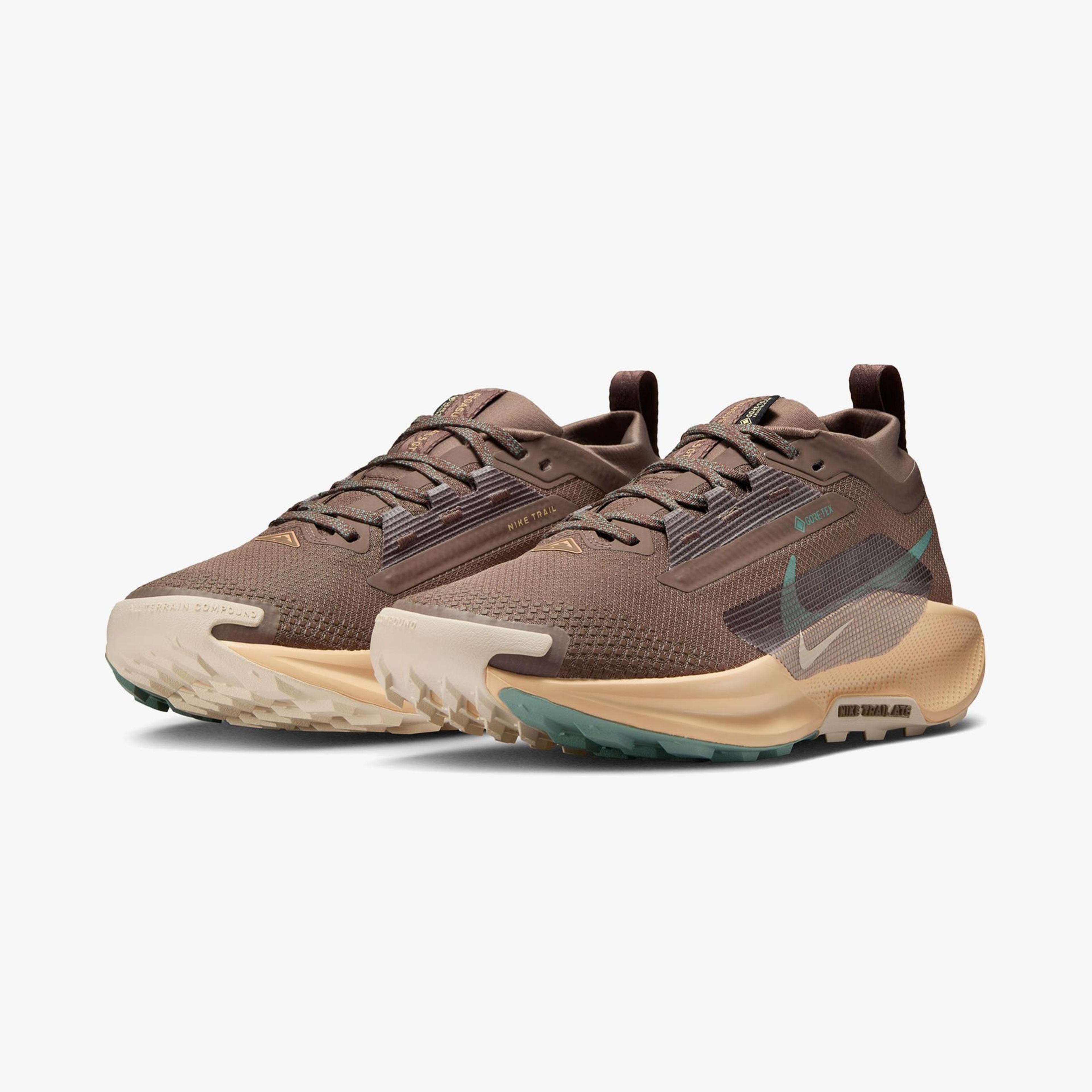 Nike Pegasus Trail 5 Gore-Tex Kadın Kahverengi Koşu Ayakkabısı