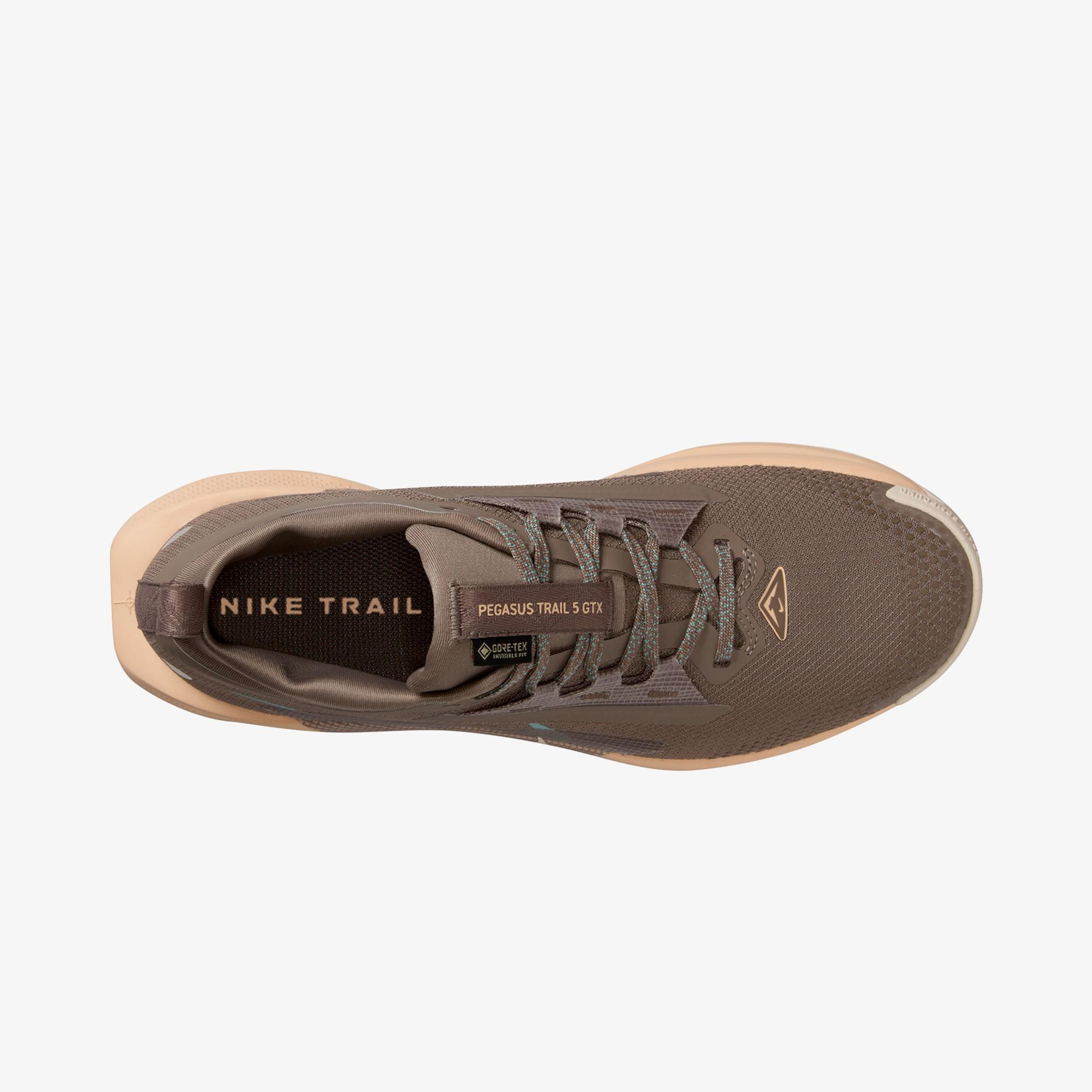 Nike Pegasus Trail 5 Gore-Tex Kadın Kahverengi Koşu Ayakkabısı