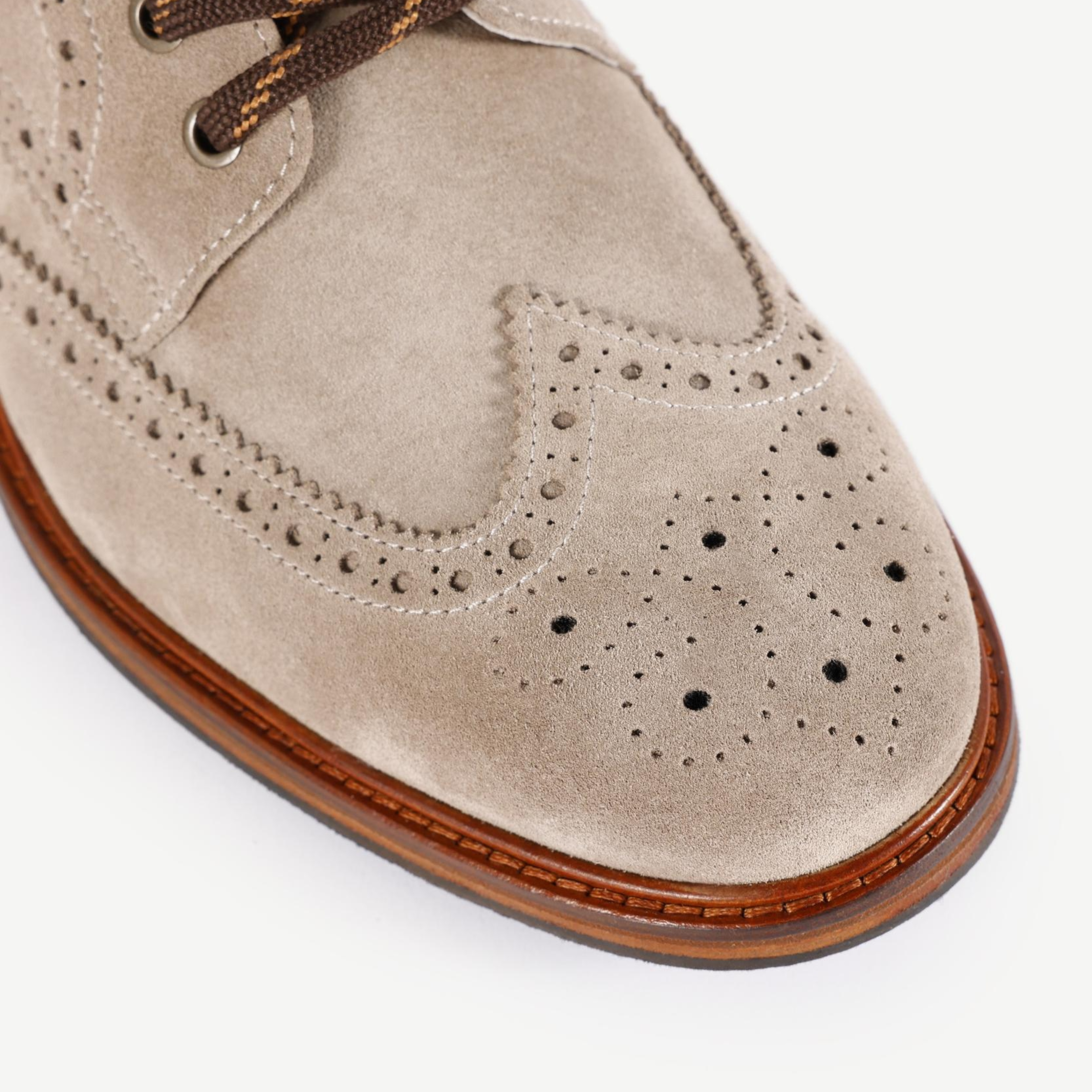 YARGICI Oxford Bağlı Bot