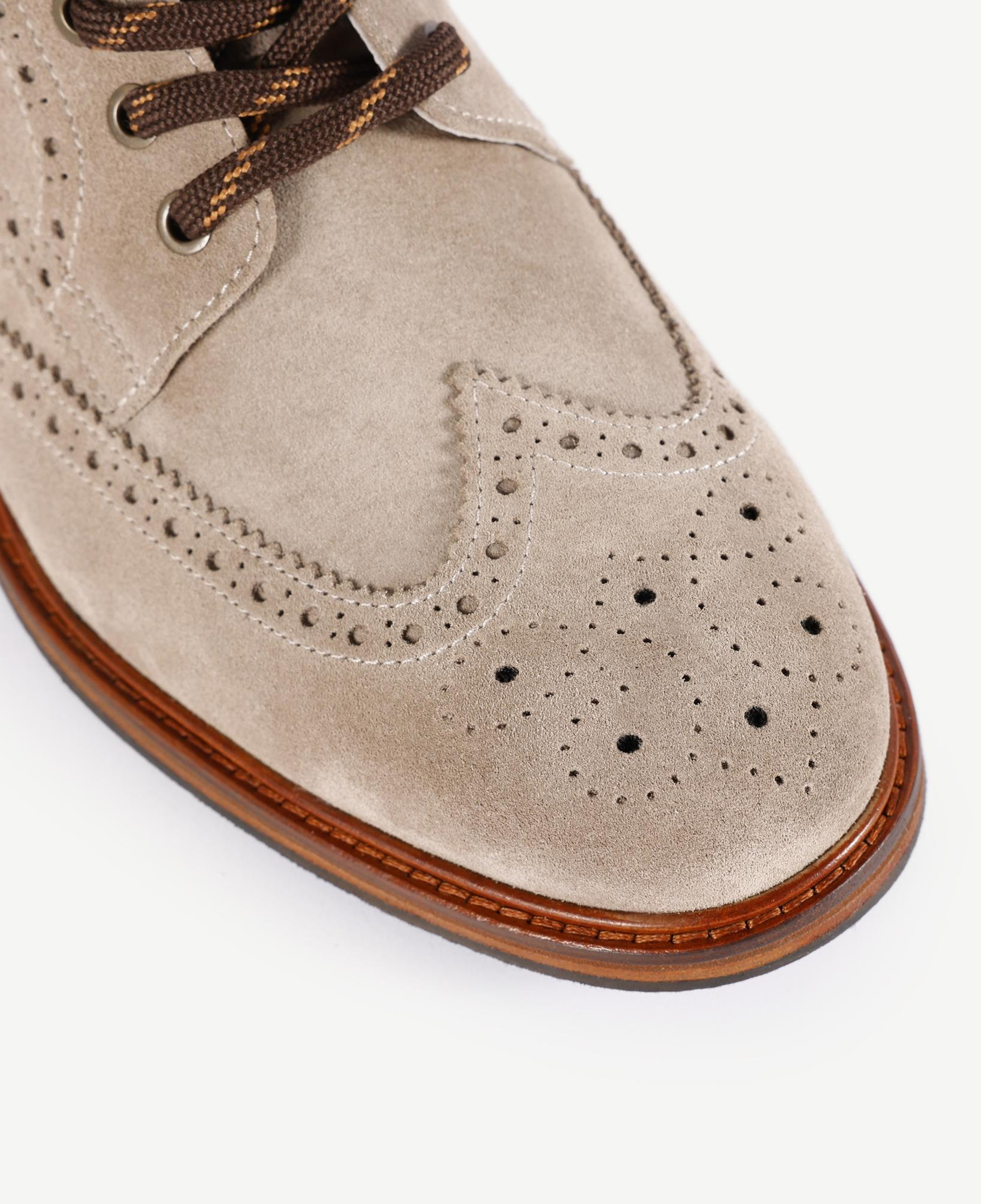 YARGICI Oxford Bağlı Bot