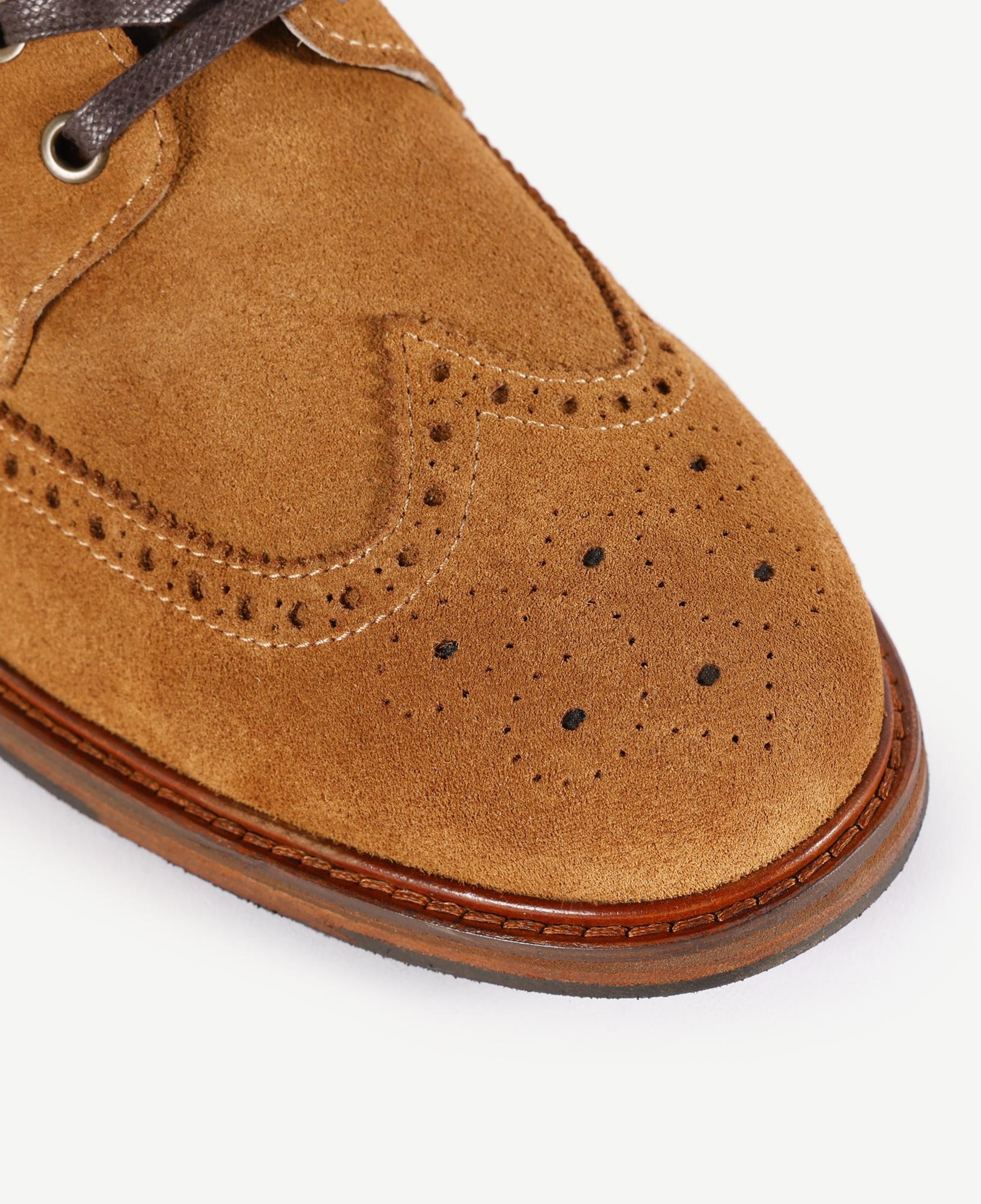 YARGICI Oxford Bağlı Bot