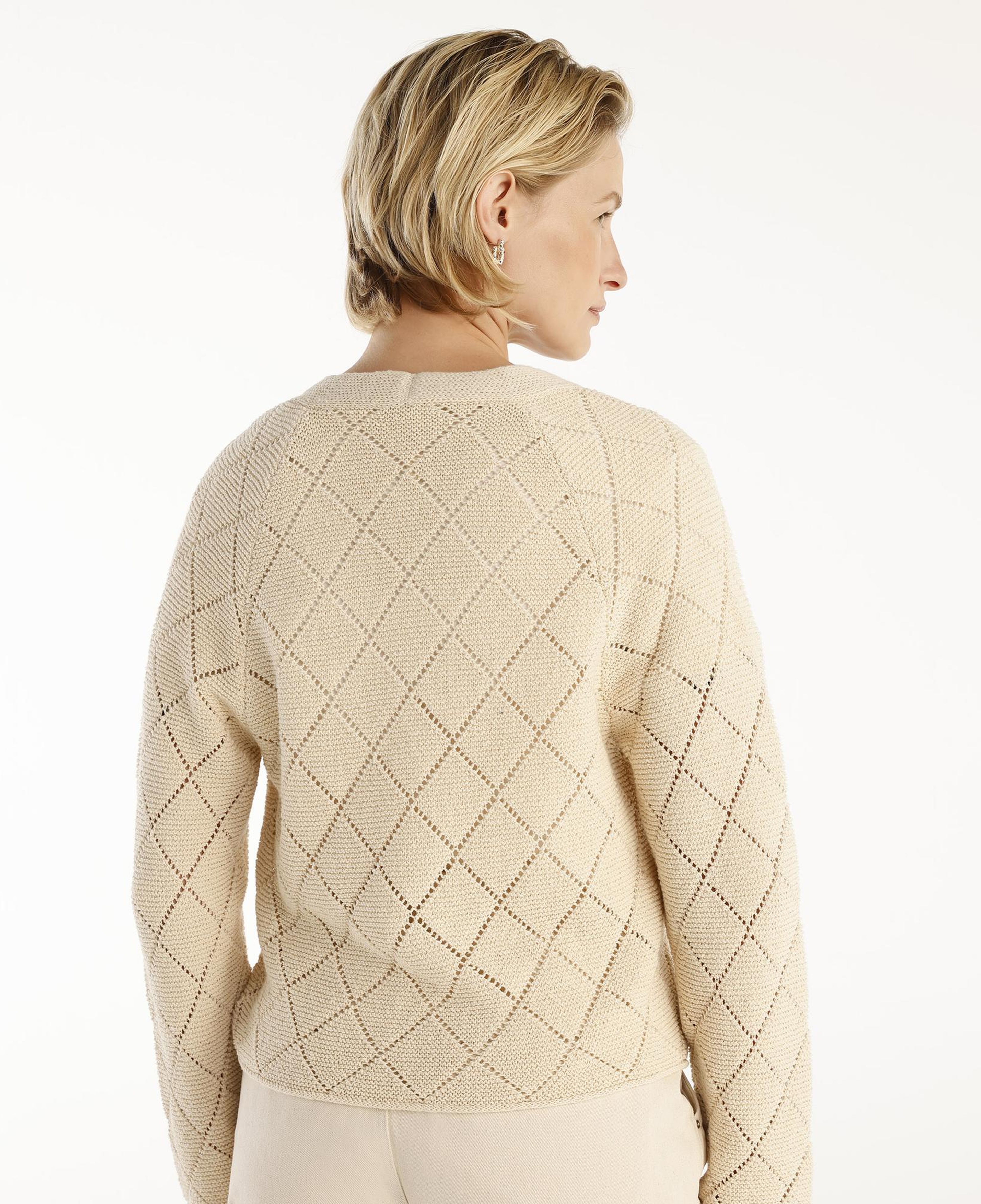 YARGICI V Yaka Dekorlu Hırka