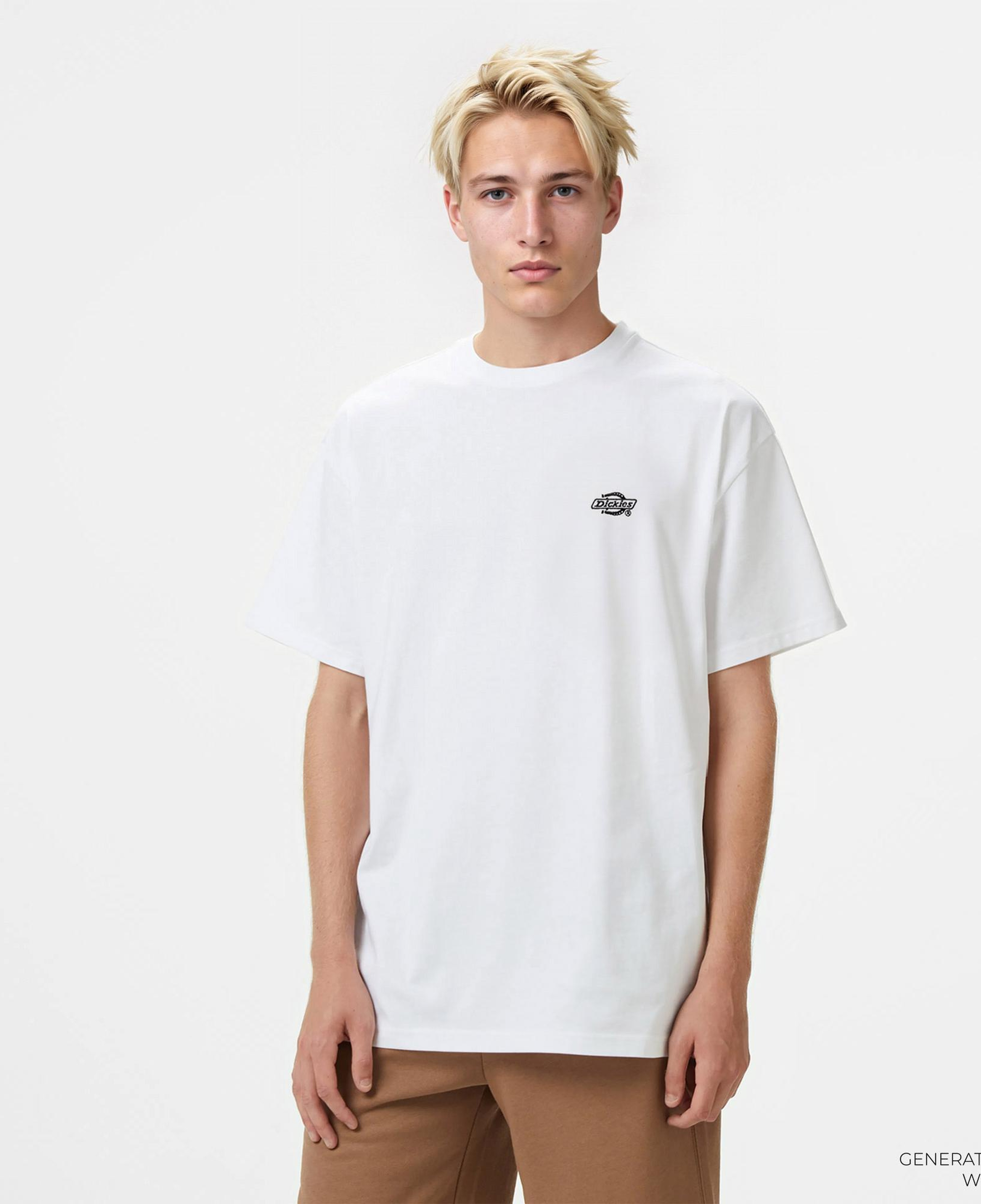 Dickies Summerdale Ss Erkek Beyaz T-Shirt