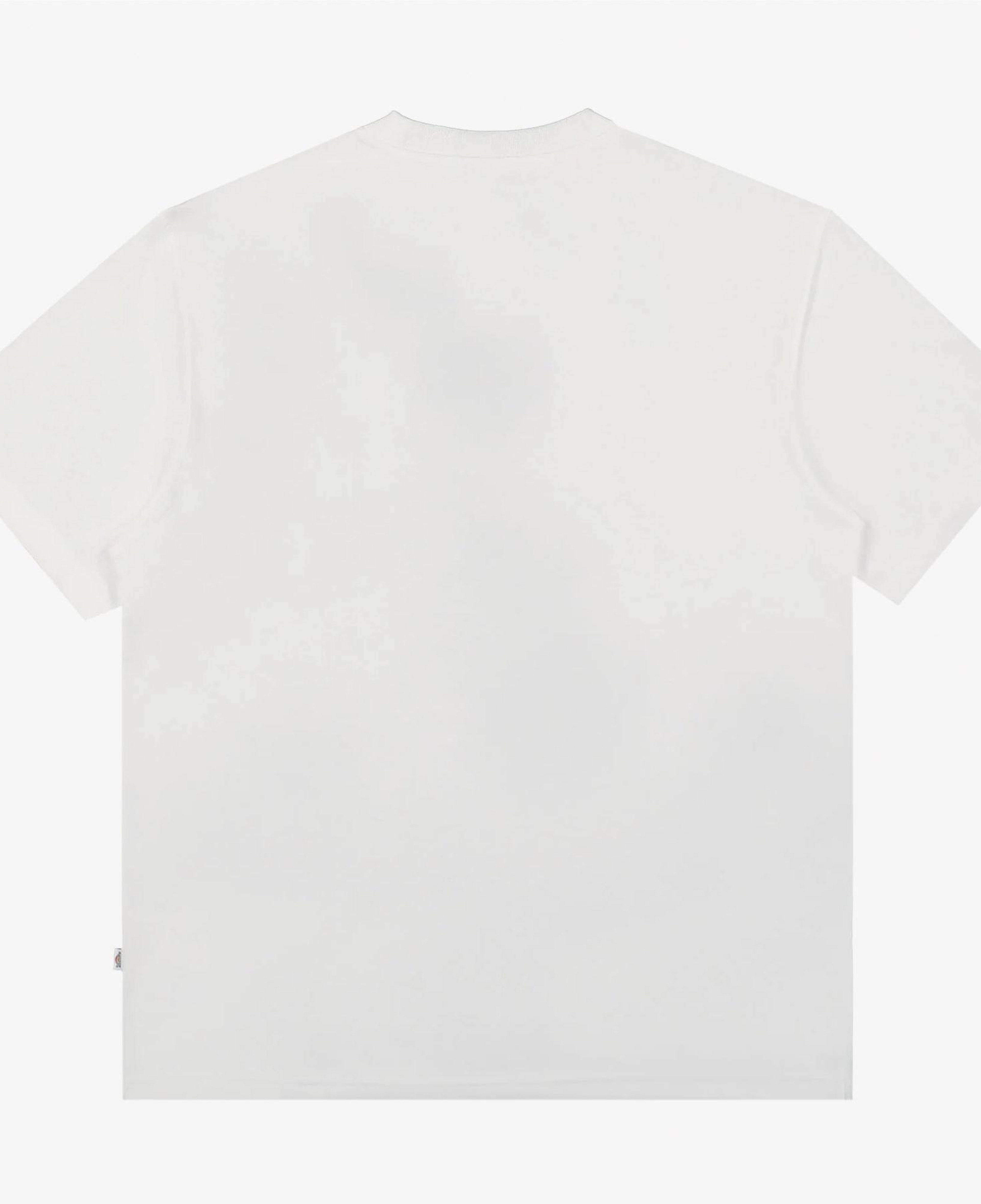 Dickies Summerdale Ss Erkek Beyaz T-Shirt