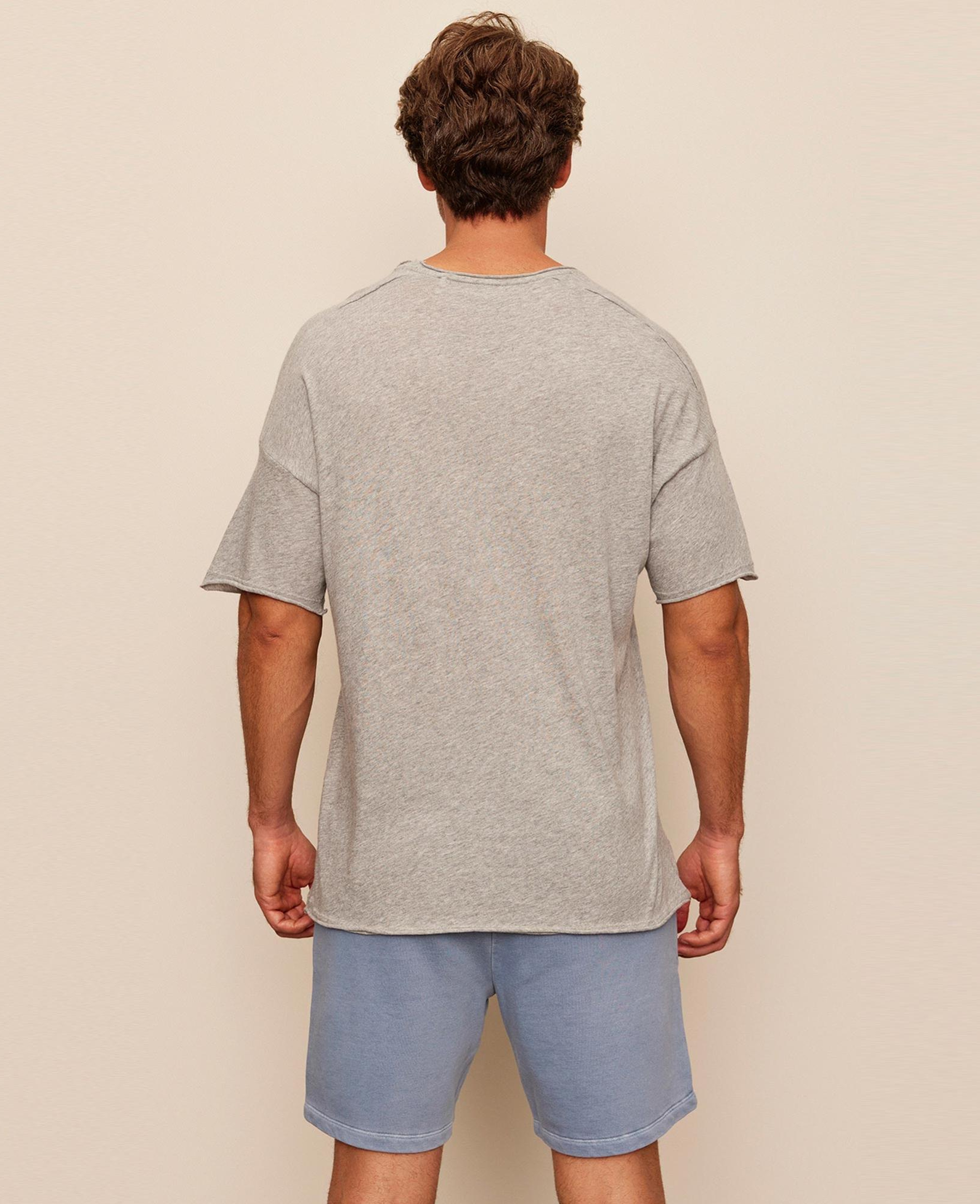 The Stay Line Lonzo Erkek Gri T-Shirt