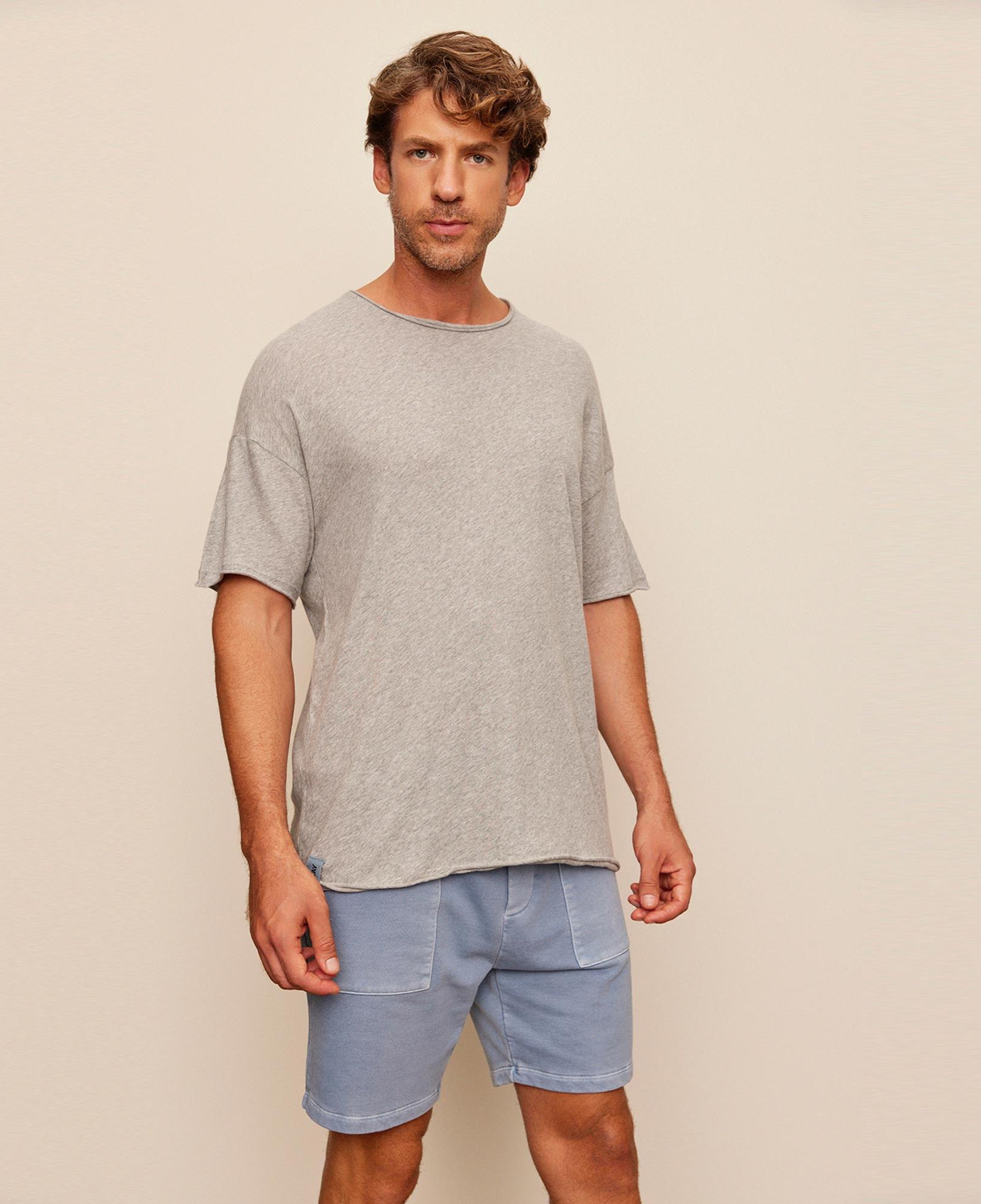 The Stay Line Lonzo Erkek Gri T-Shirt