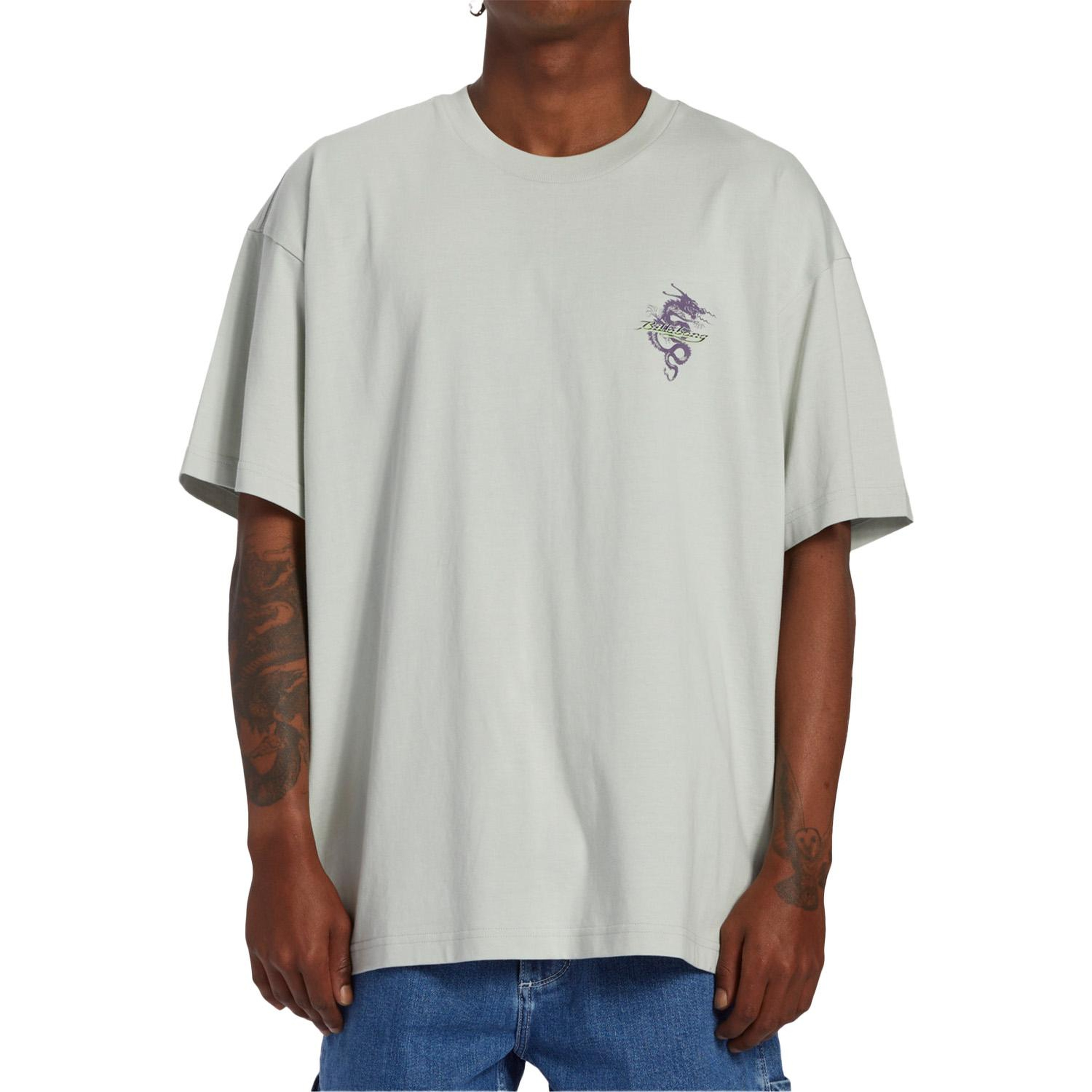 Billabong Enter The Drago Tees Erkek Gri Tişört