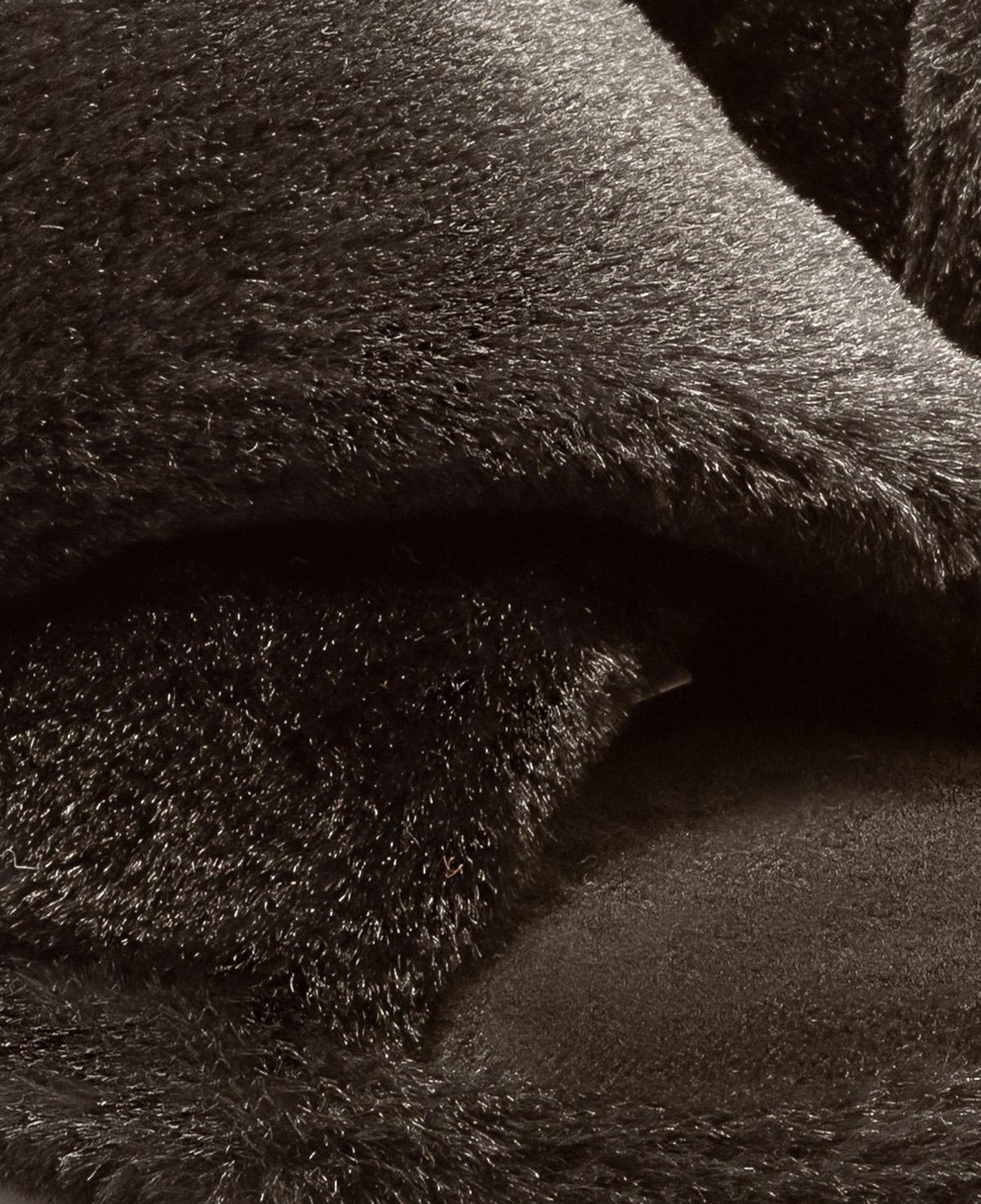 Çapraz Peluş Kadın Ev Terliği Siyah 36/41