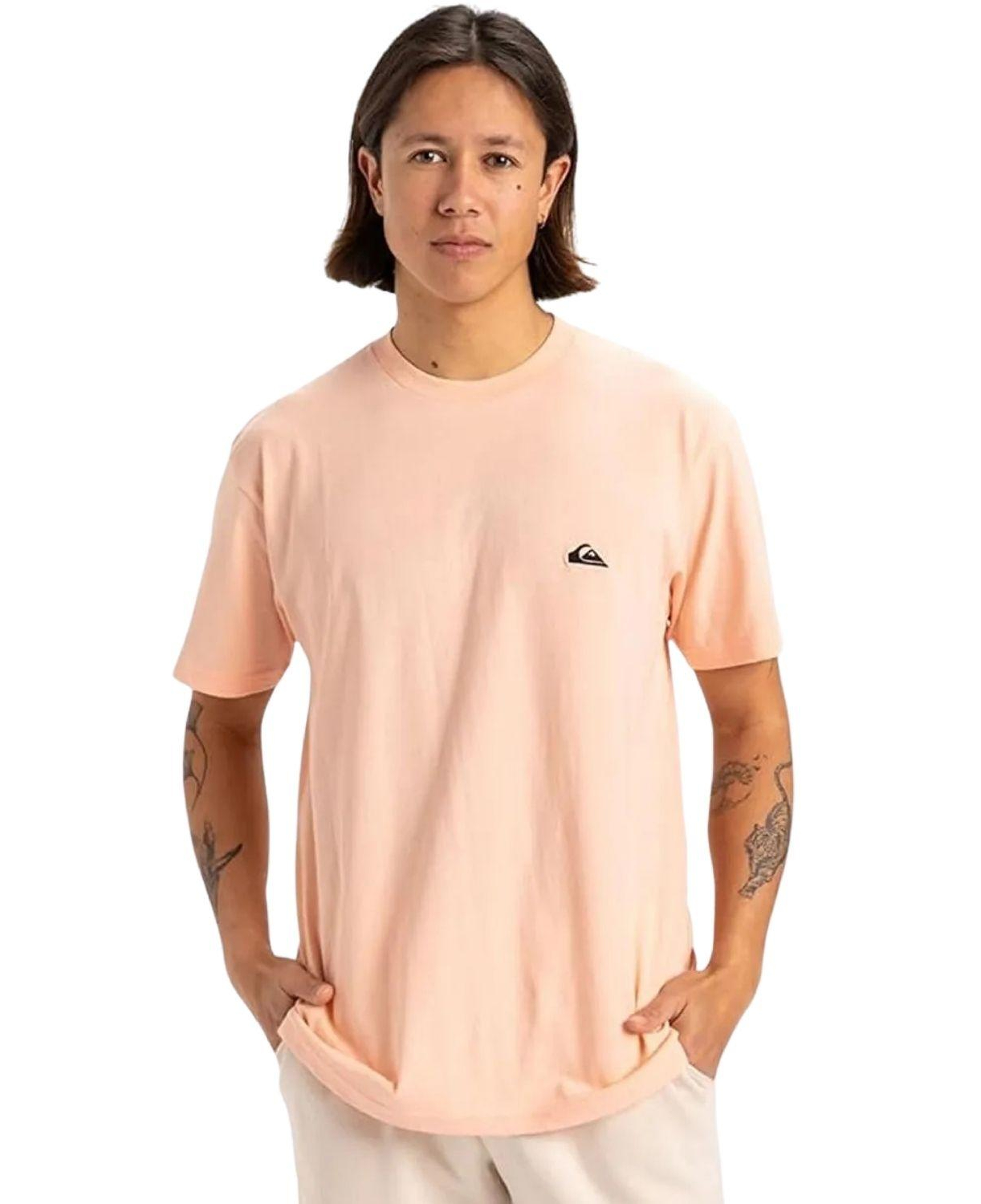 Quiksilver Basic Young Erkek Tişört