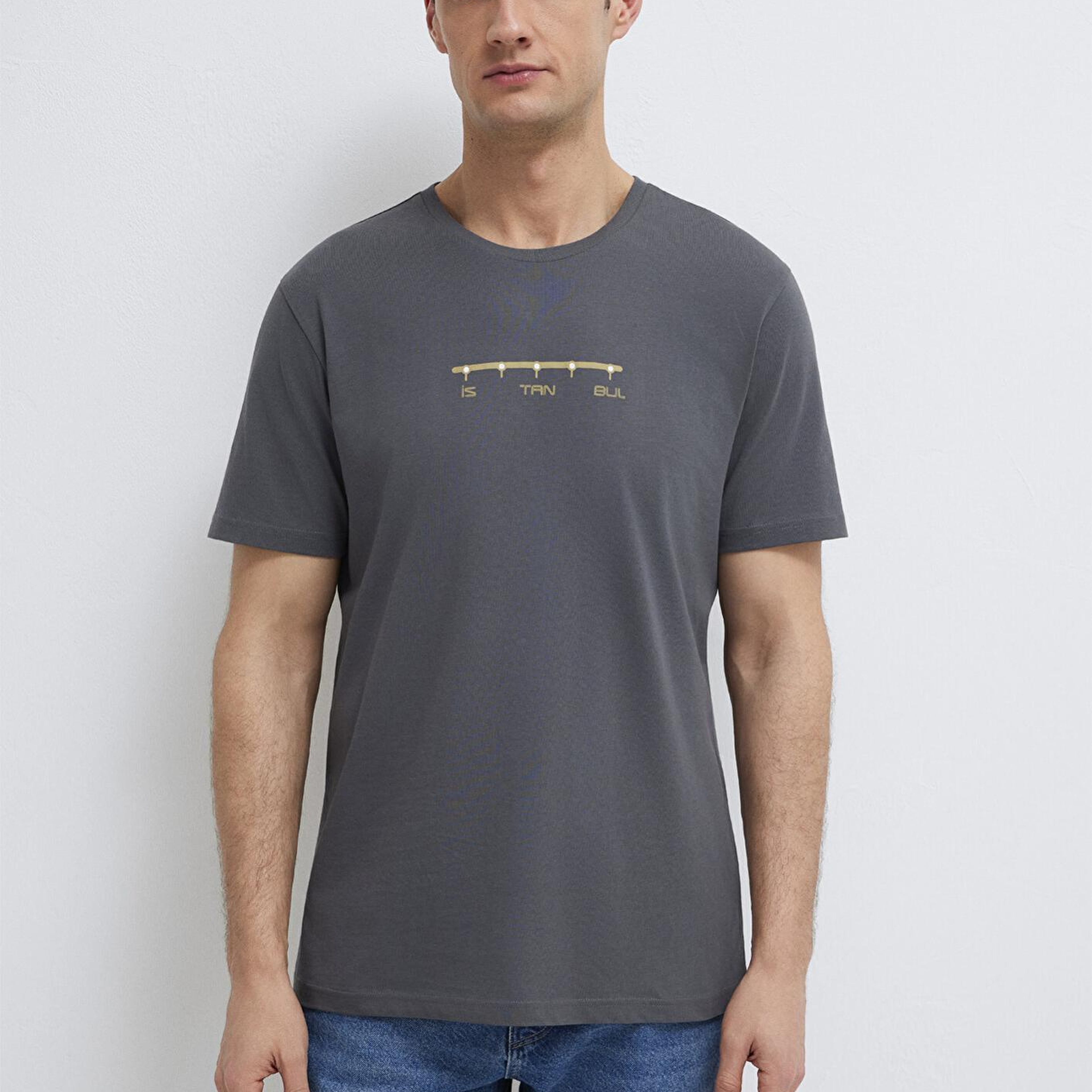 Mavi Antrasit İstanbul Tişört Regular Fit / Normal Kesim 0612452-85309