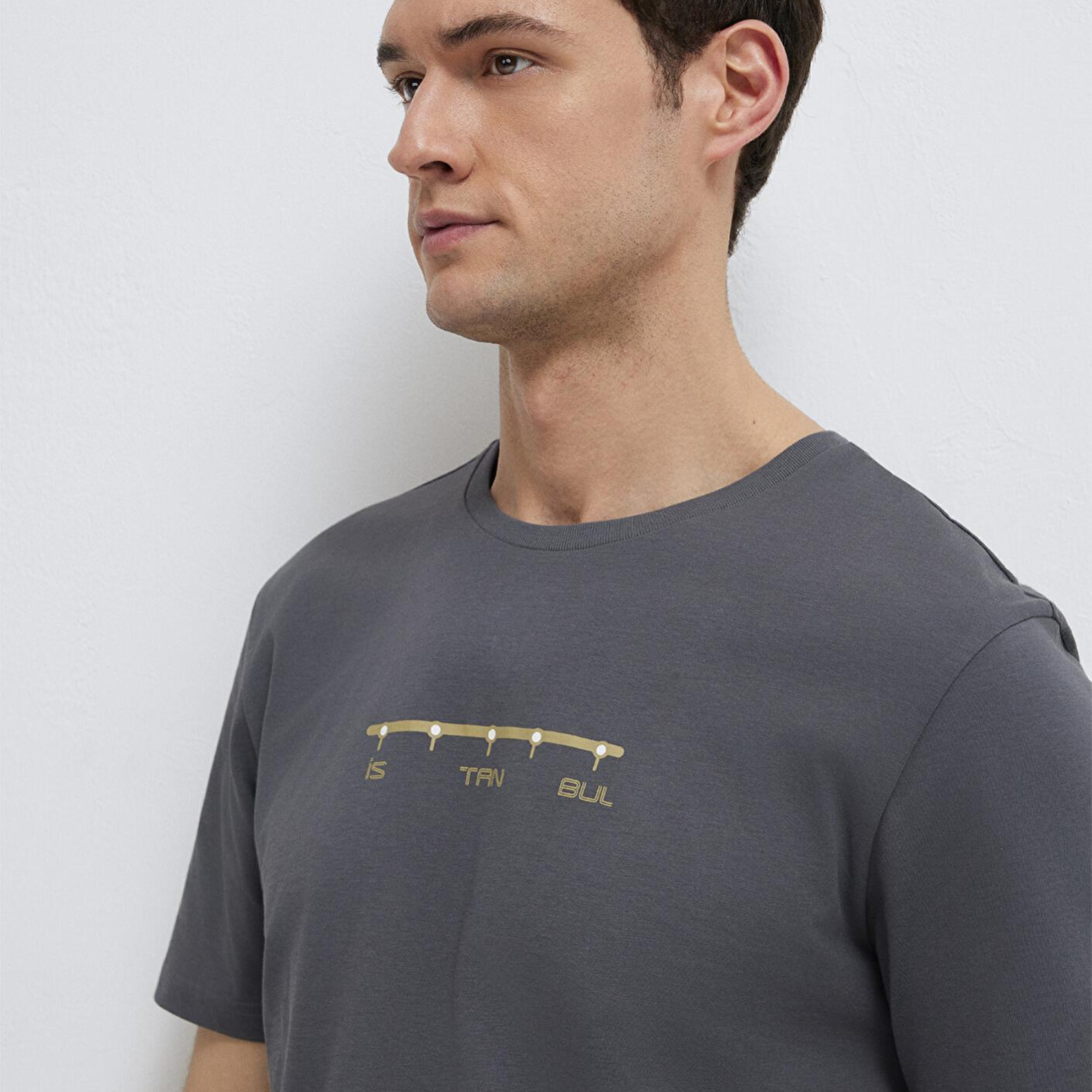 Mavi Antrasit İstanbul Tişört Regular Fit / Normal Kesim 0612452-85309