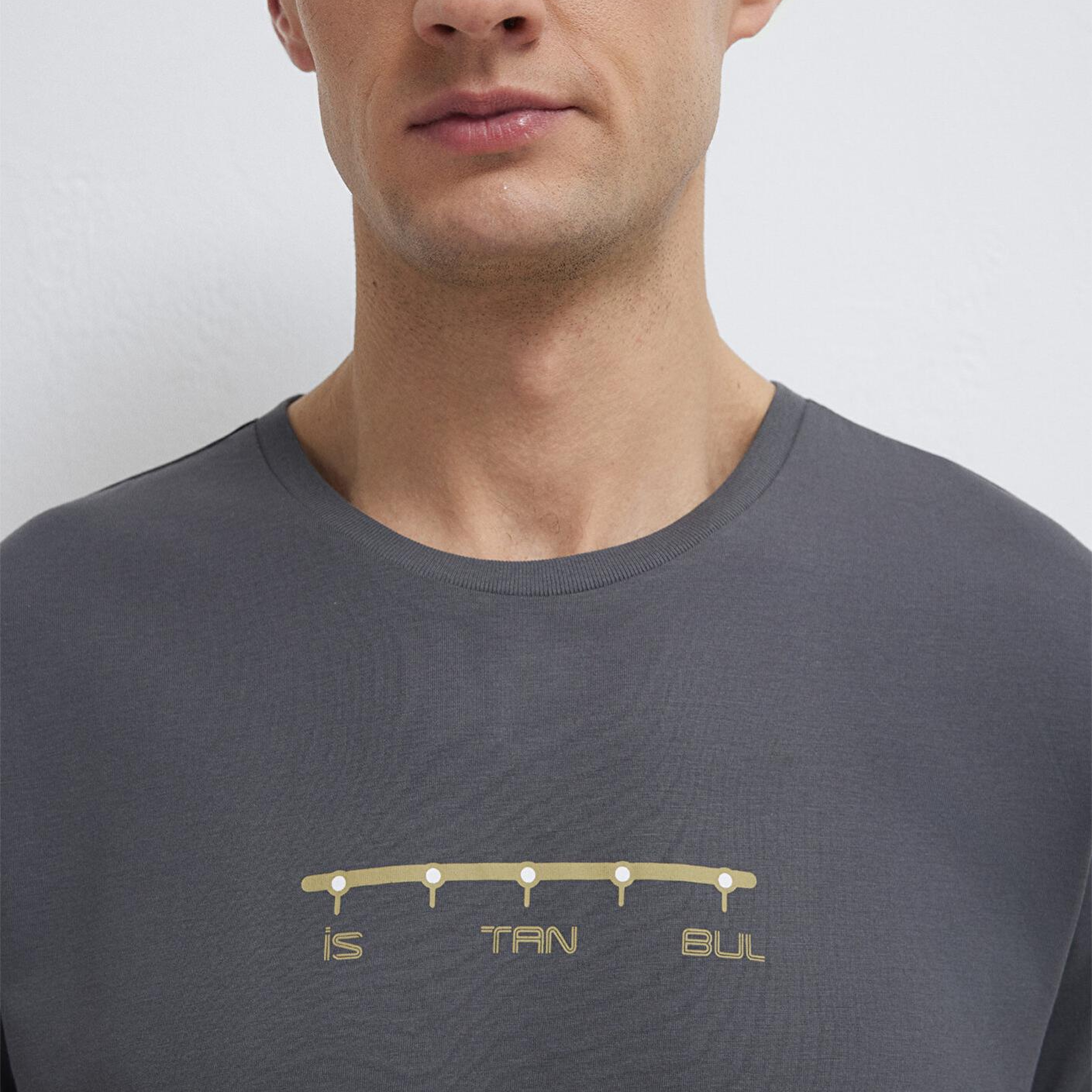 Mavi Antrasit İstanbul Tişört Regular Fit / Normal Kesim 0612452-85309