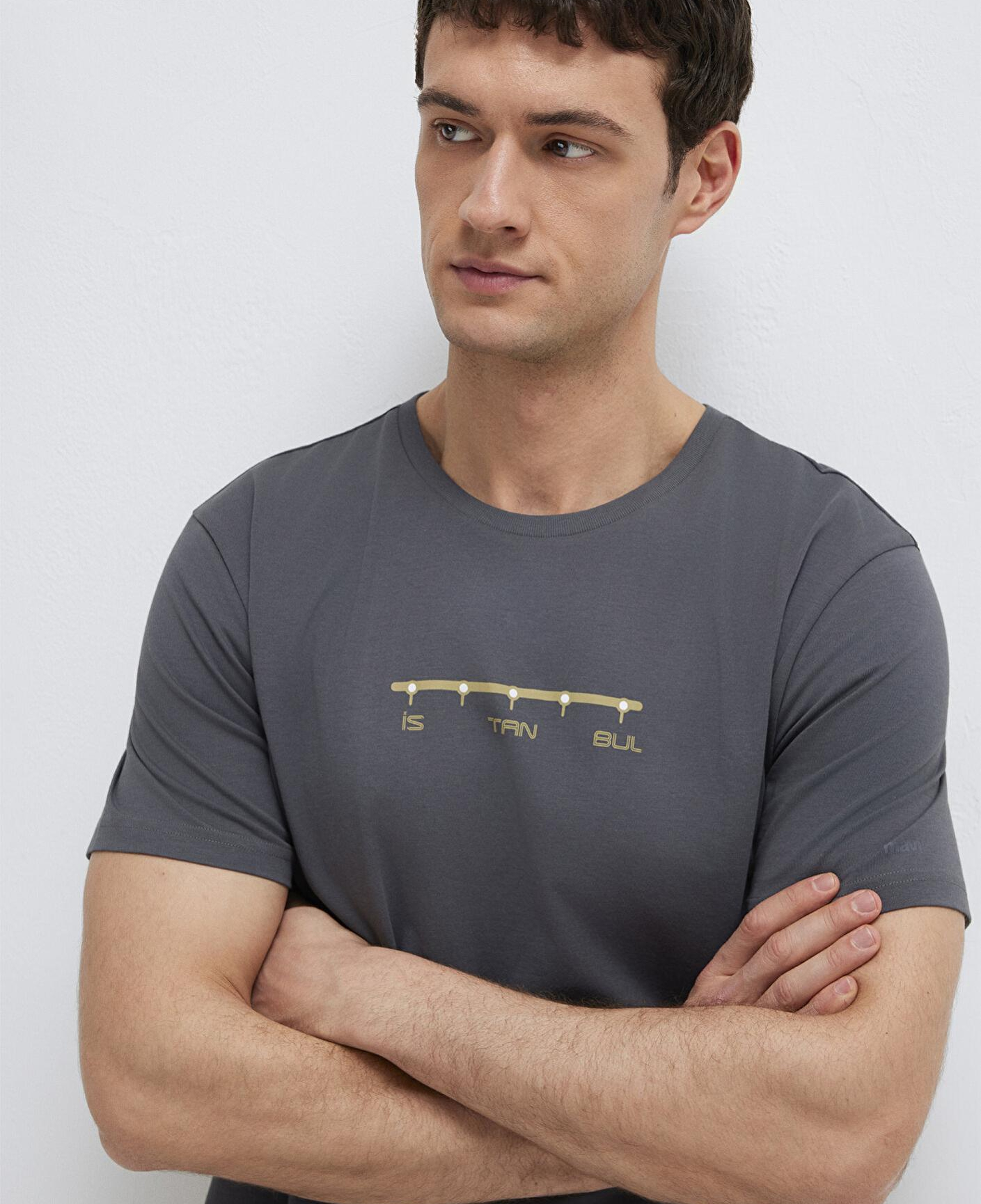 Mavi Antrasit İstanbul Tişört Regular Fit / Normal Kesim 0612452-85309