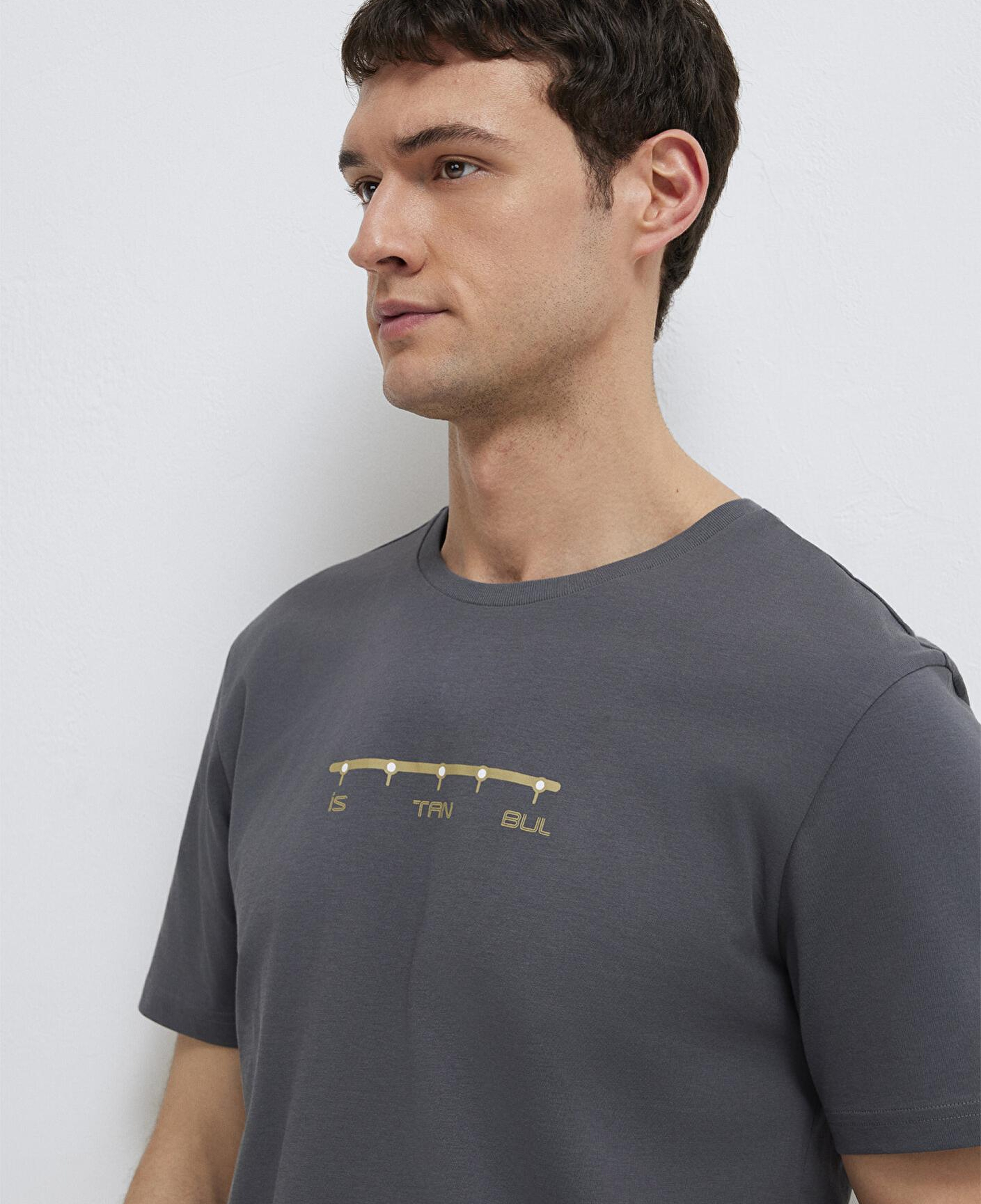 Mavi Antrasit İstanbul Tişört Regular Fit / Normal Kesim 0612452-85309