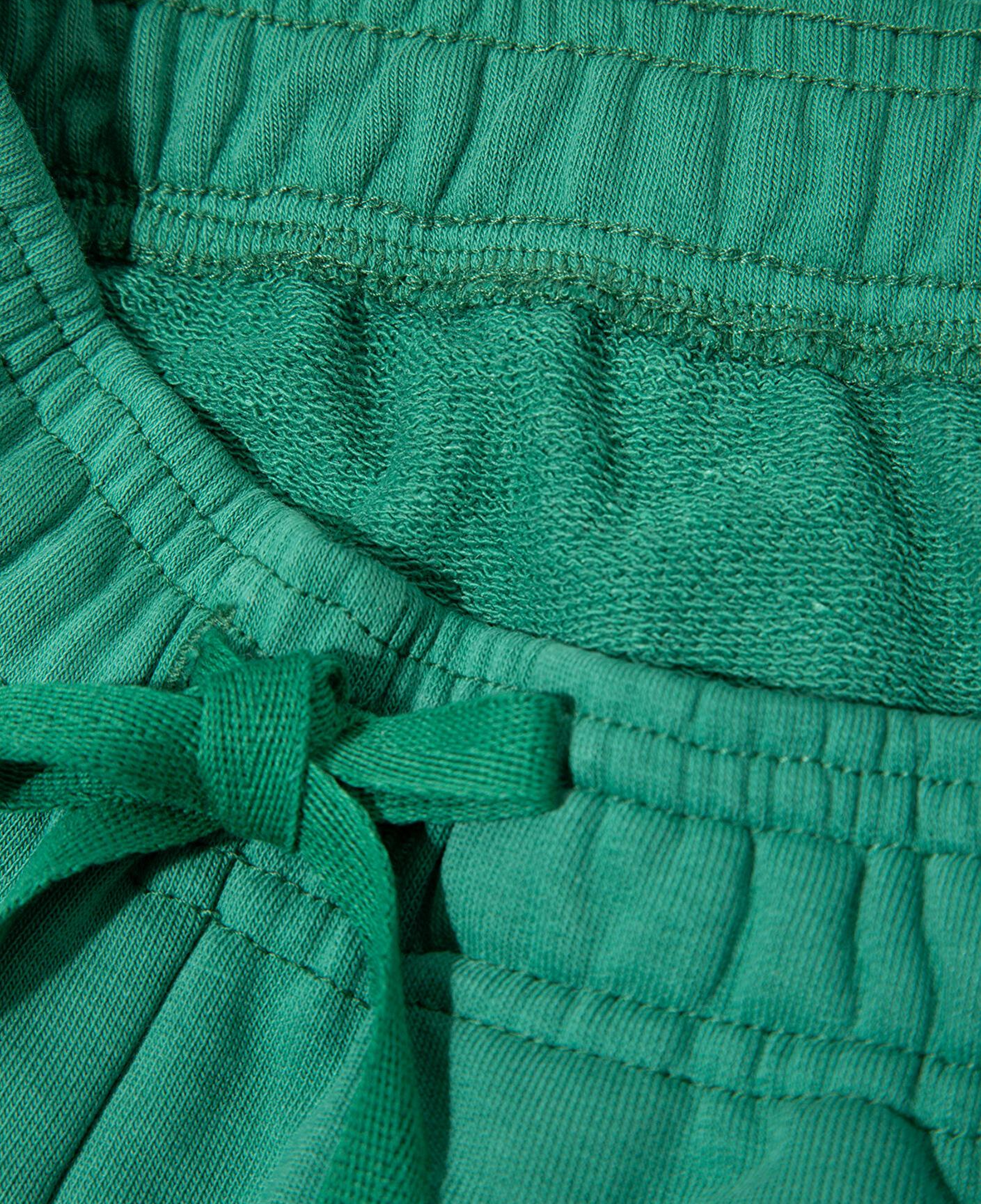 Mavi Mavi Logo Baskılı Yeşil Eşofman Altı 6010024-71697