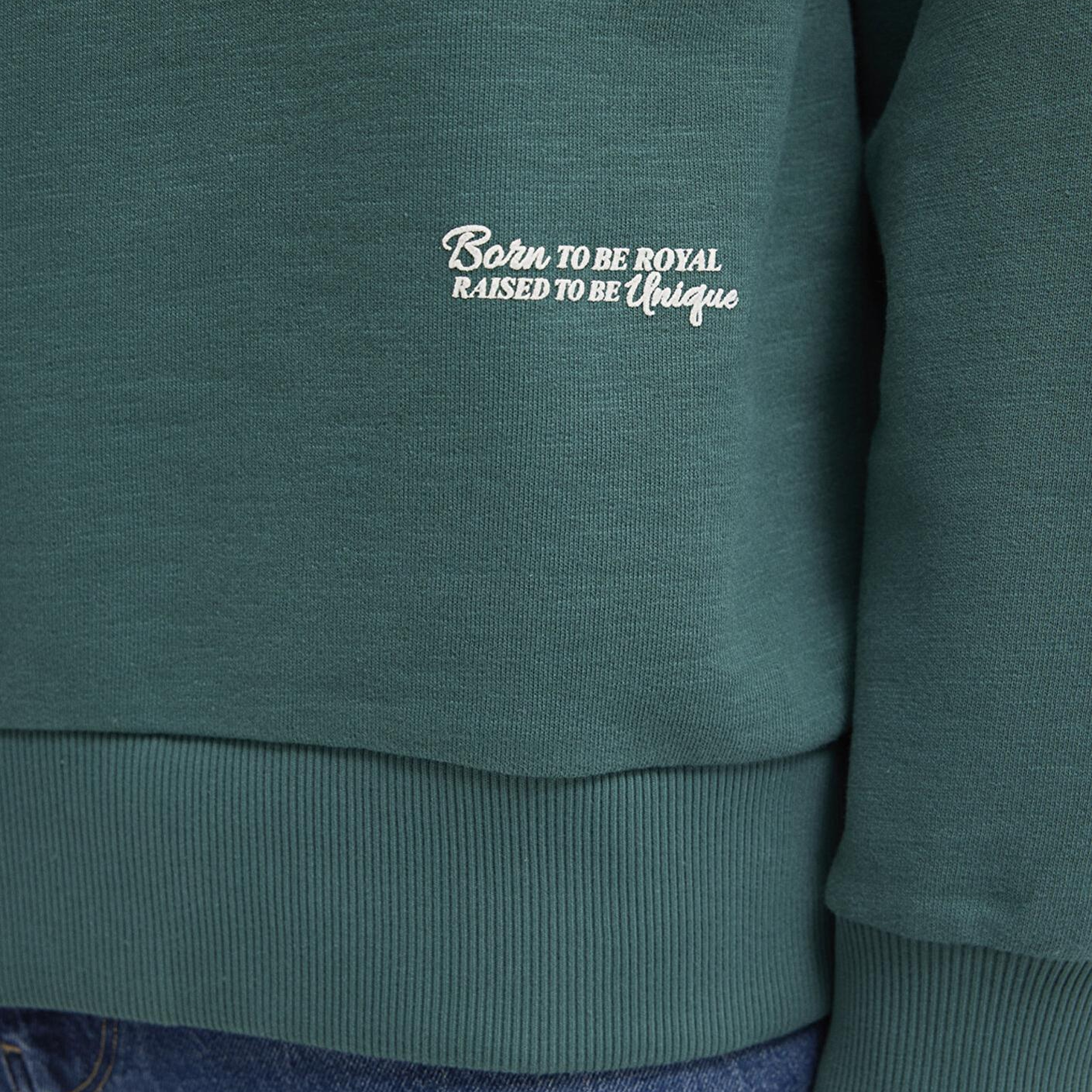 Mavi Kapüşonlu Yeşil Sweatshirt 0S10534-71930