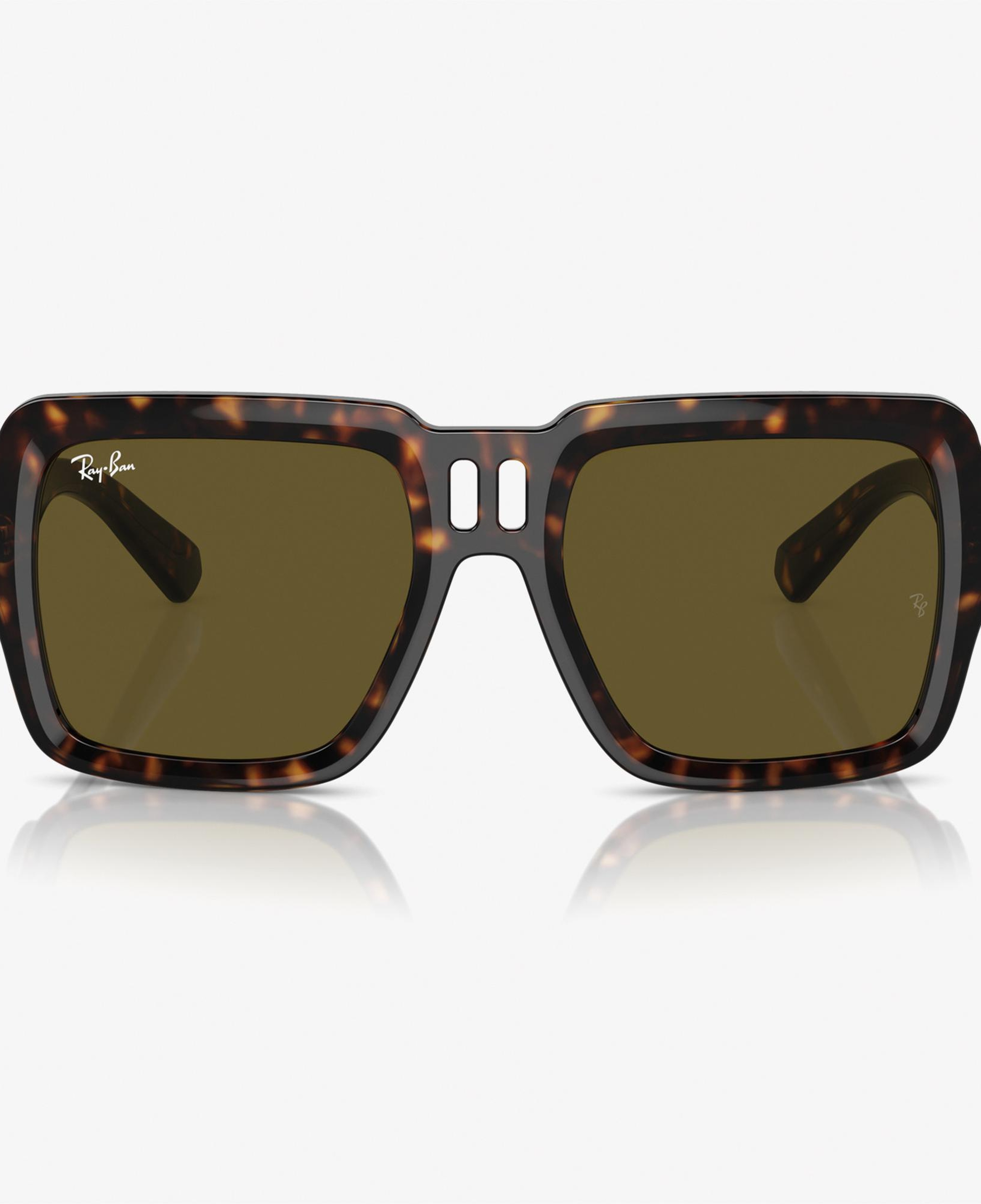 RAY-BAN 0RB4408 Injected Unisex Kahverengi Güneş Gözlüğü