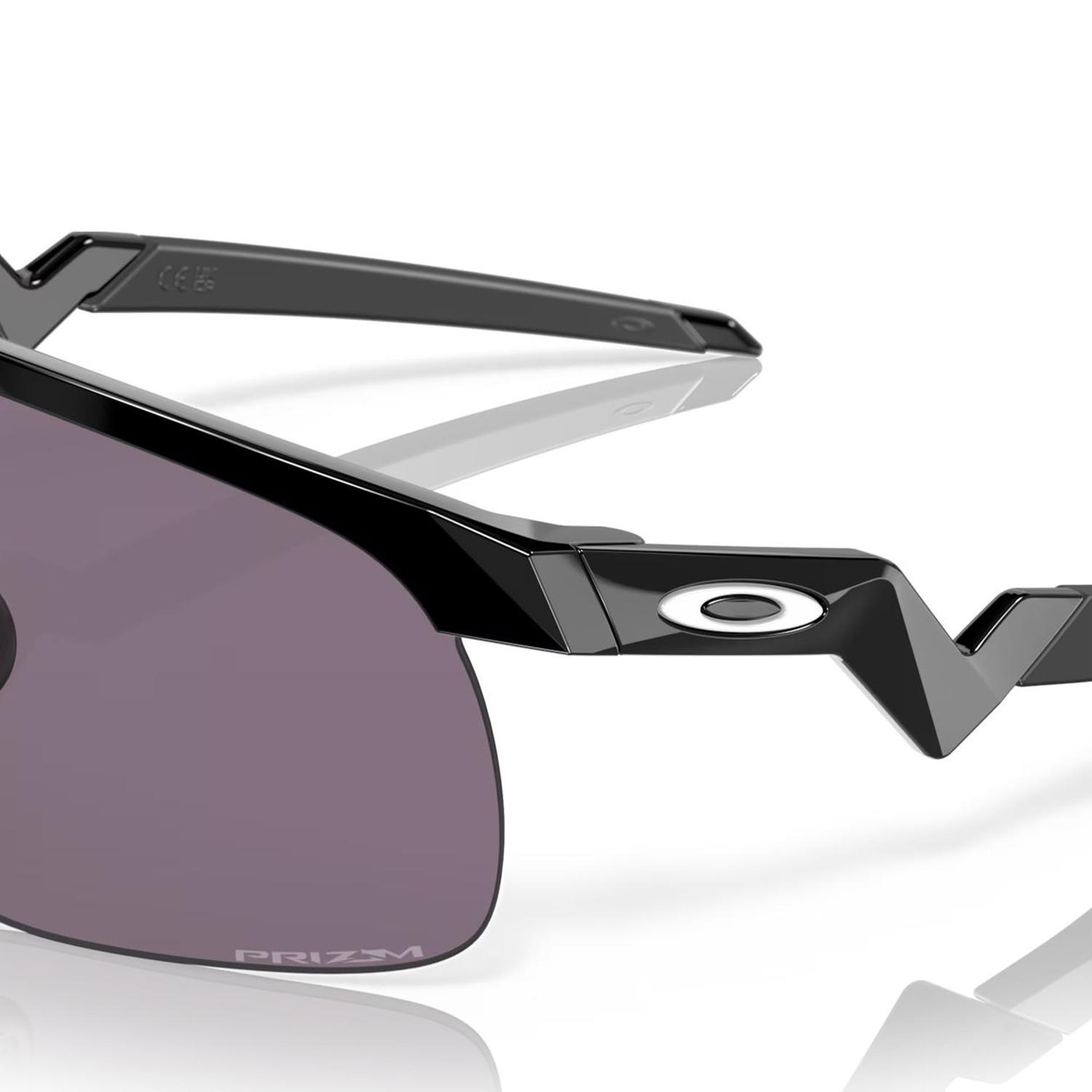 Oakley Resistor Erkek Siyah Gözlük