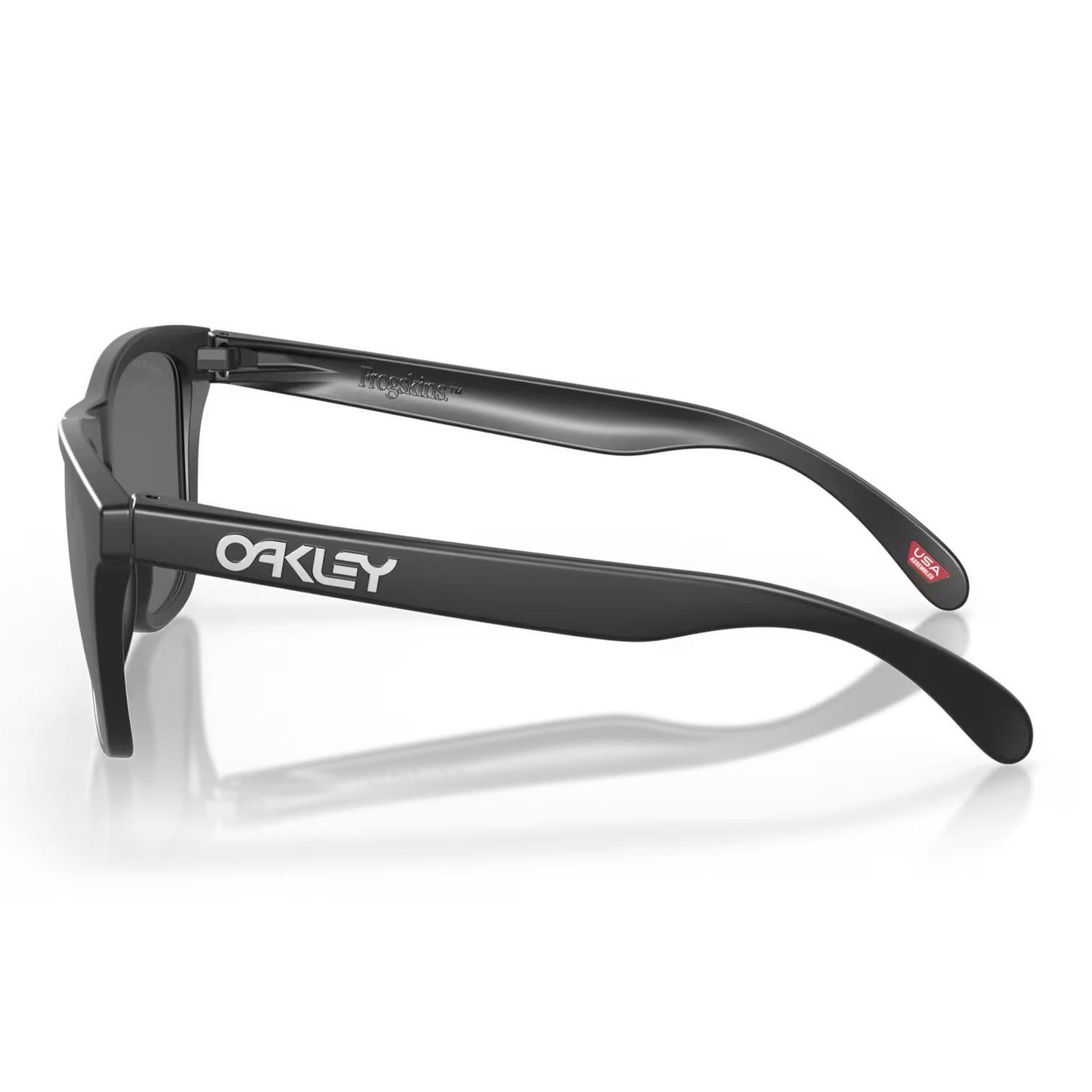 Oakley Frogskins Erkek Siyah Gözlük