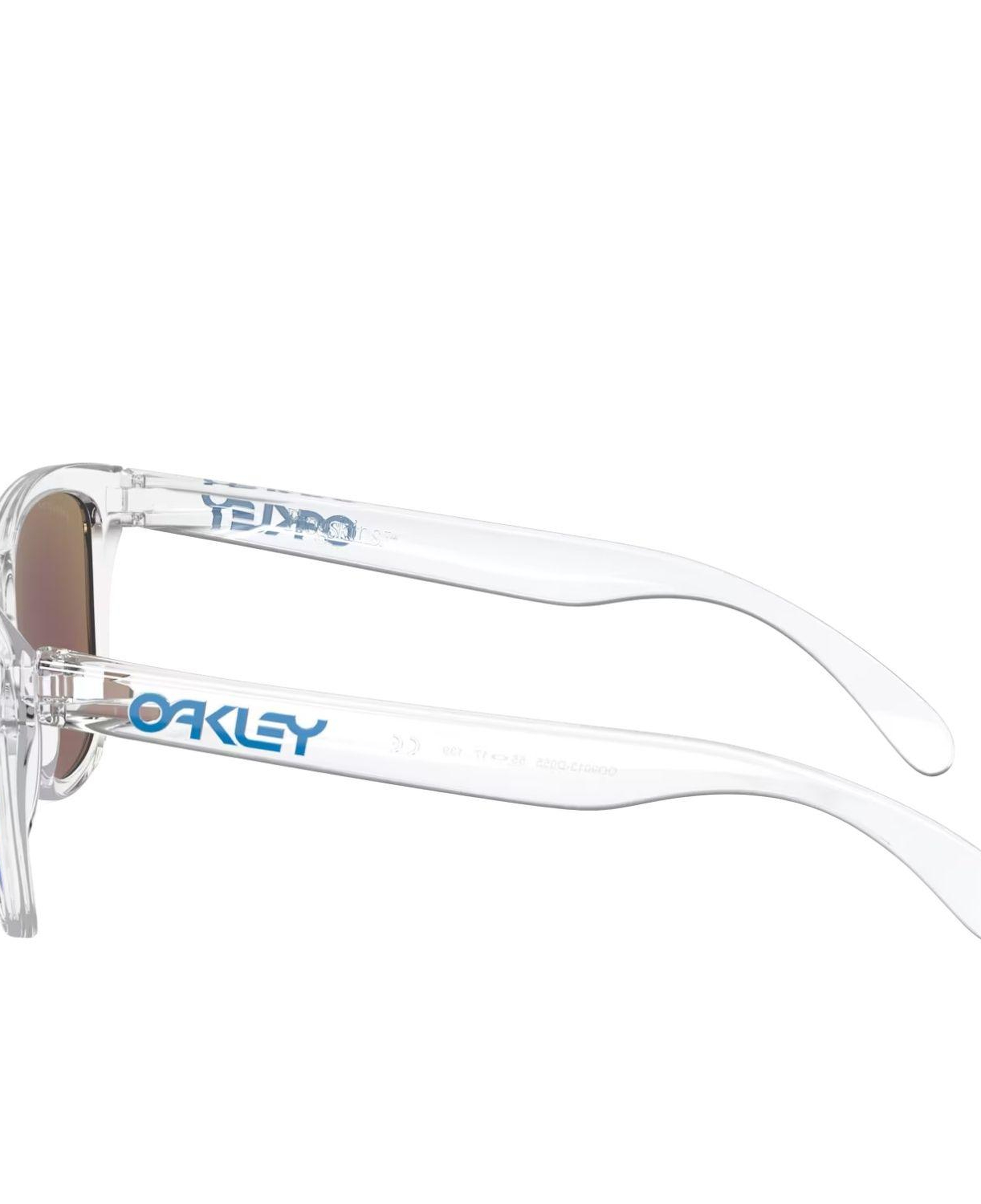 Oakley Frogskins Erkek Gözlük