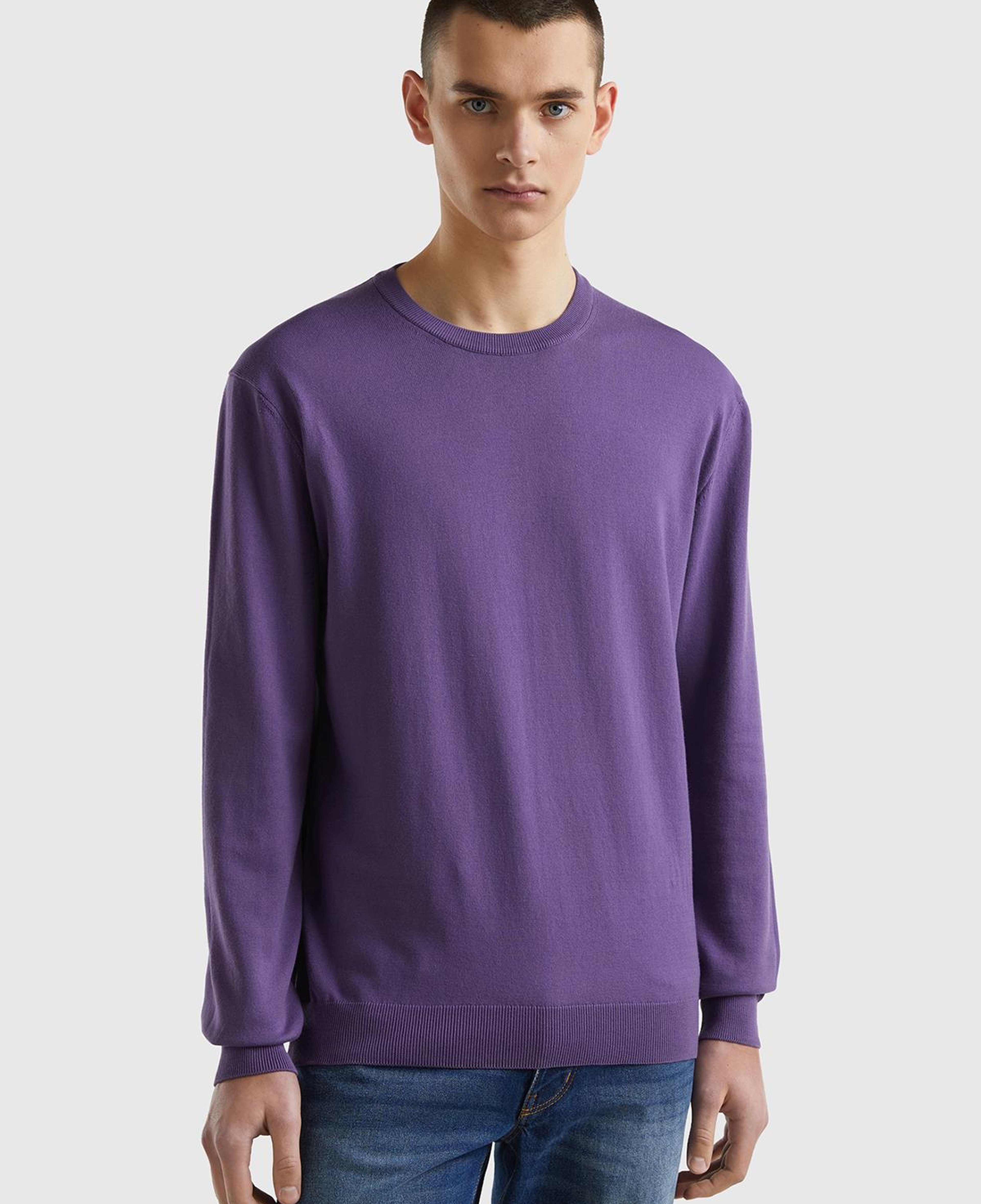 Erkek Mor %100 Koton Bisiklet YakaKazak