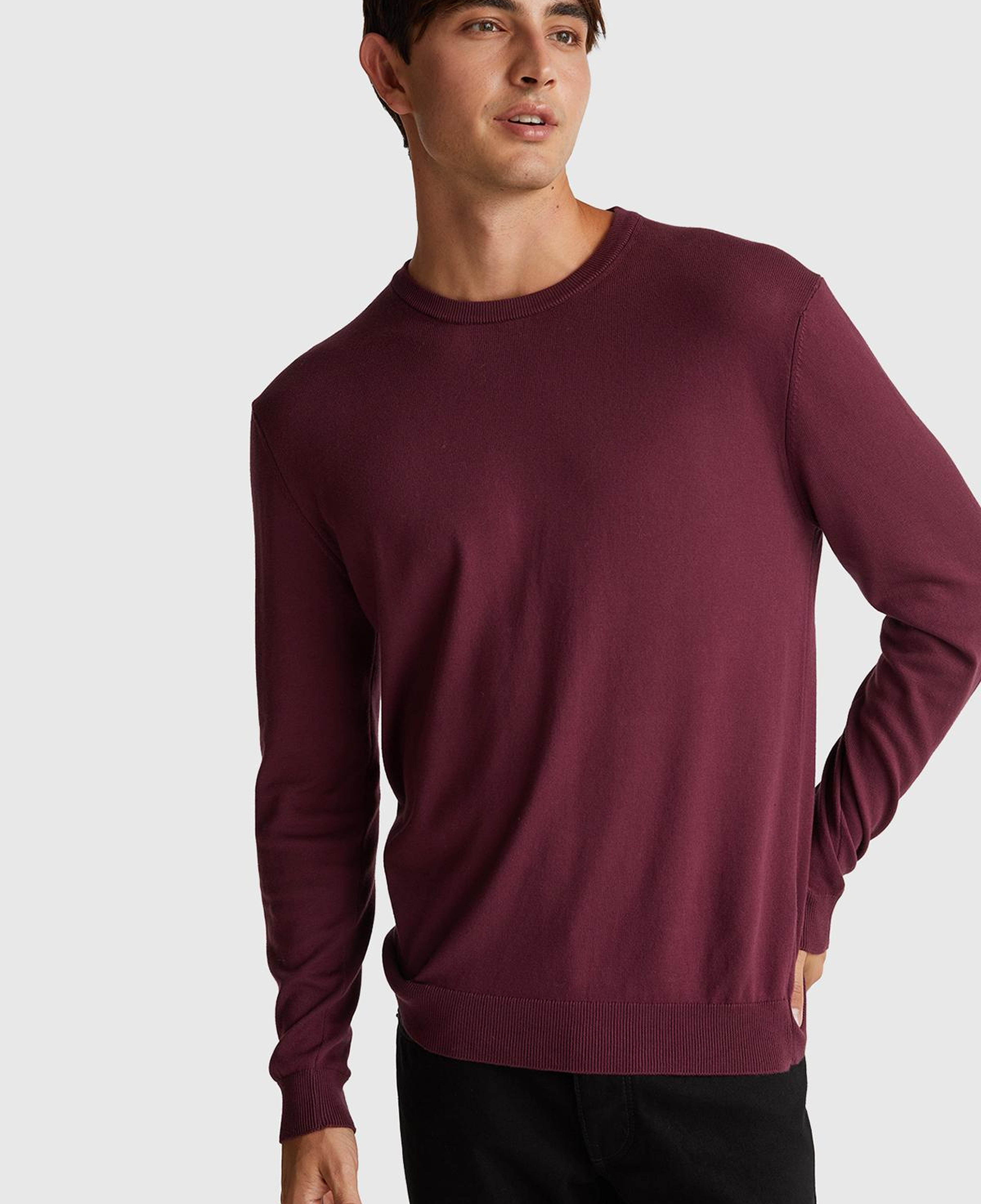 Erkek Mürdüm %100 Koton Bisiklet YakaKazak