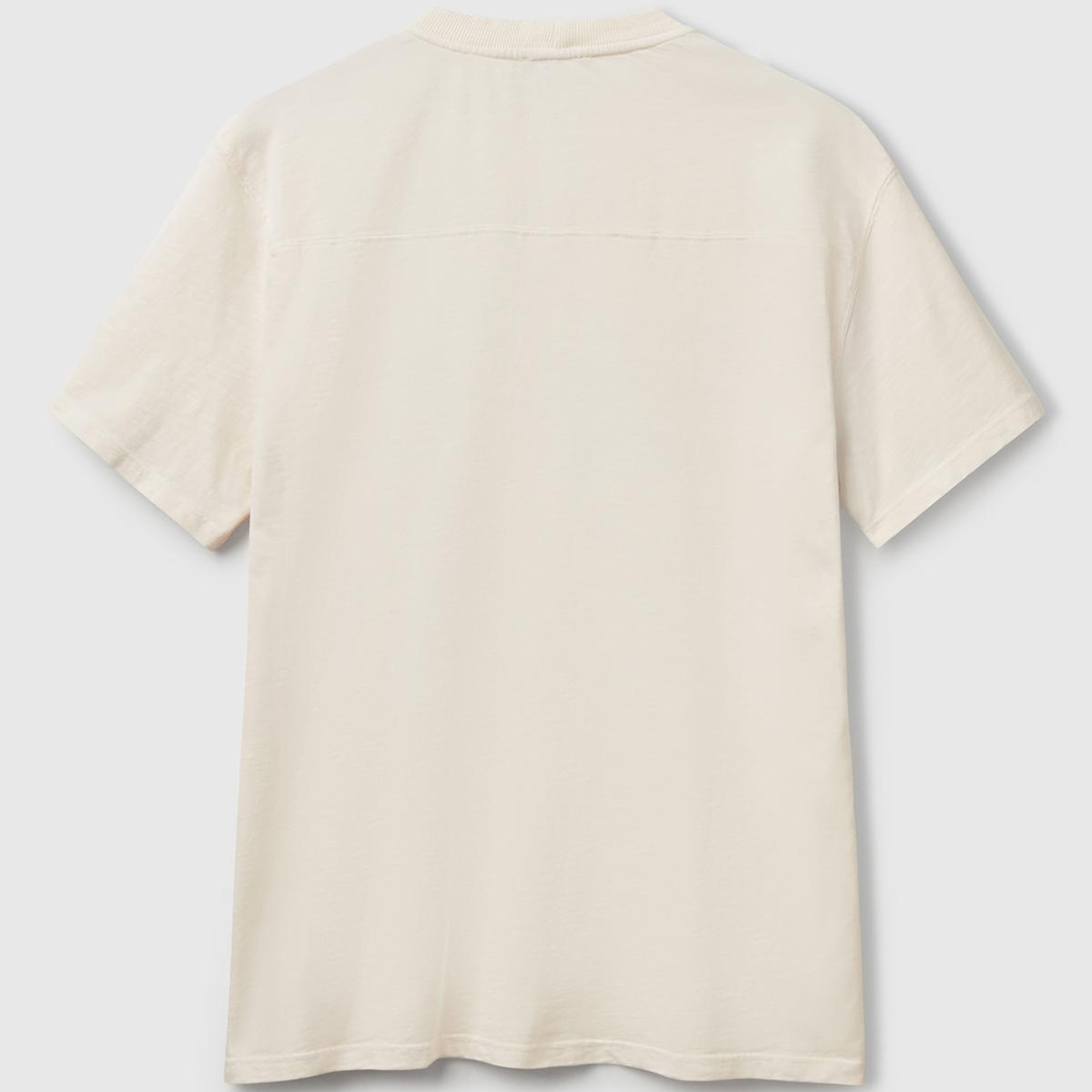 Erkek Bej-Yeşil %100 Pamuk Yıpranmış Efektli Önü Baskılı Relax Fit T-Shirt