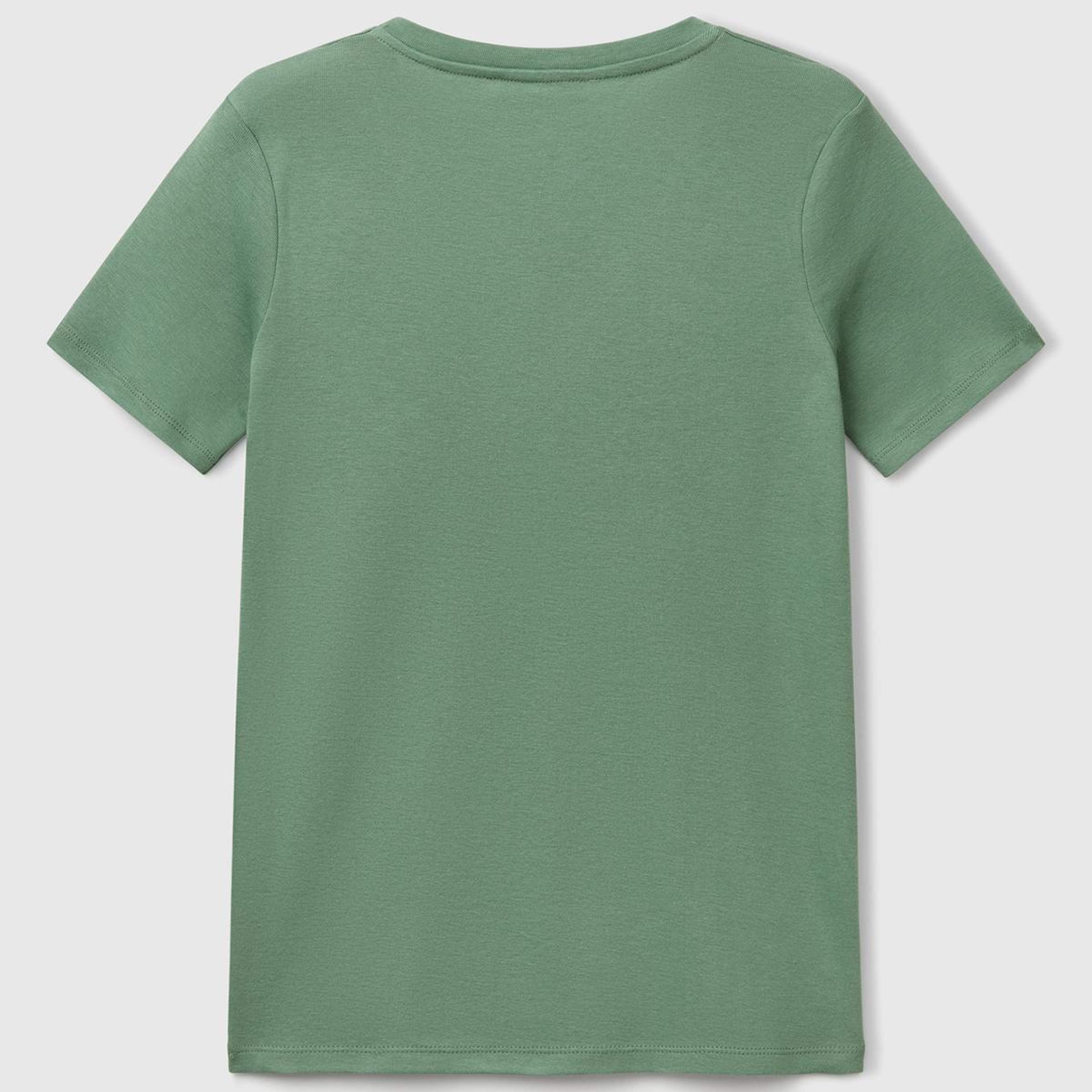 Kadın Açık Yeşil %100 Pamuk V Yaka Basic T-Shirt