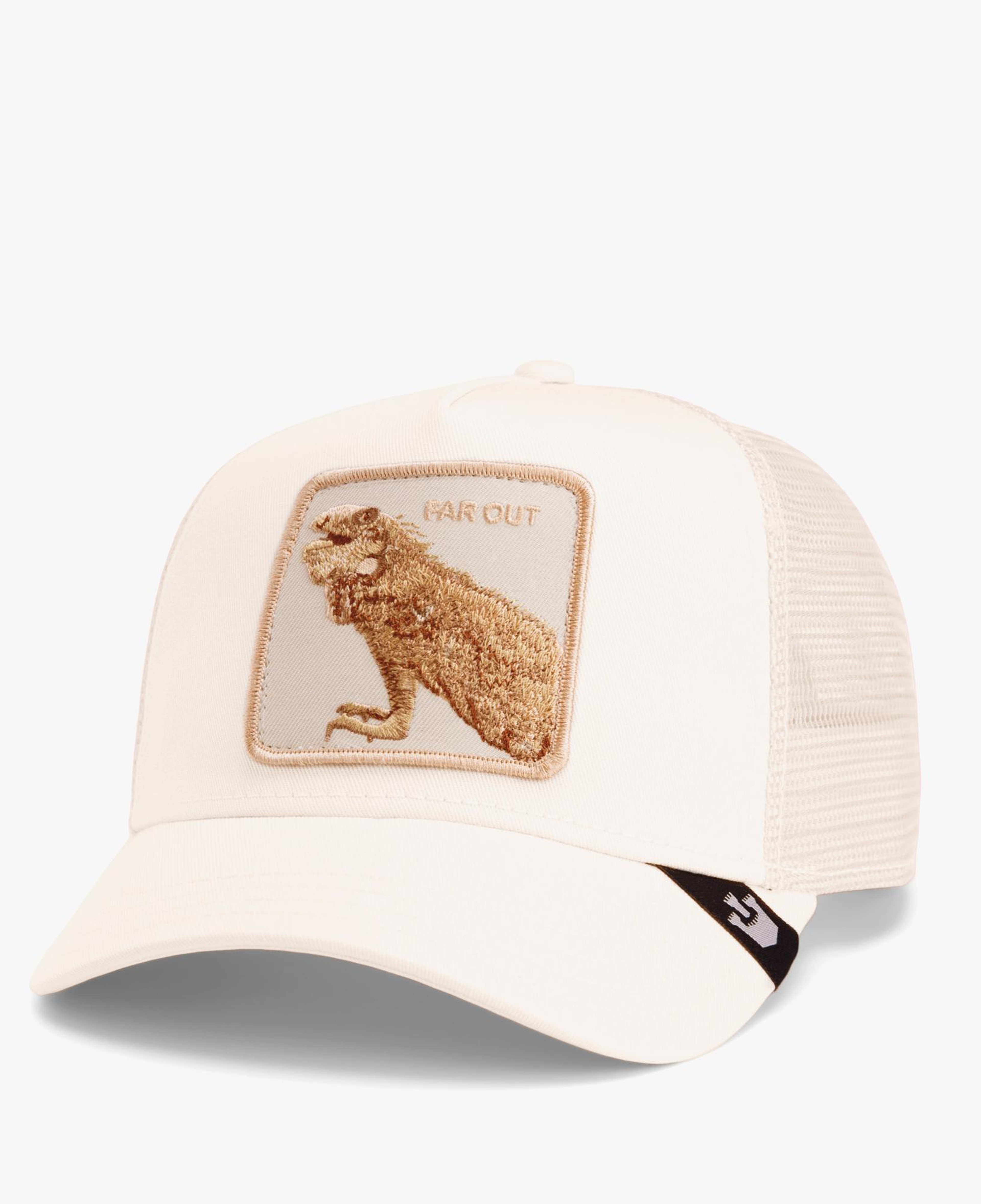 Goorin Bros Far Out Mirage Unisex Bej Şapka