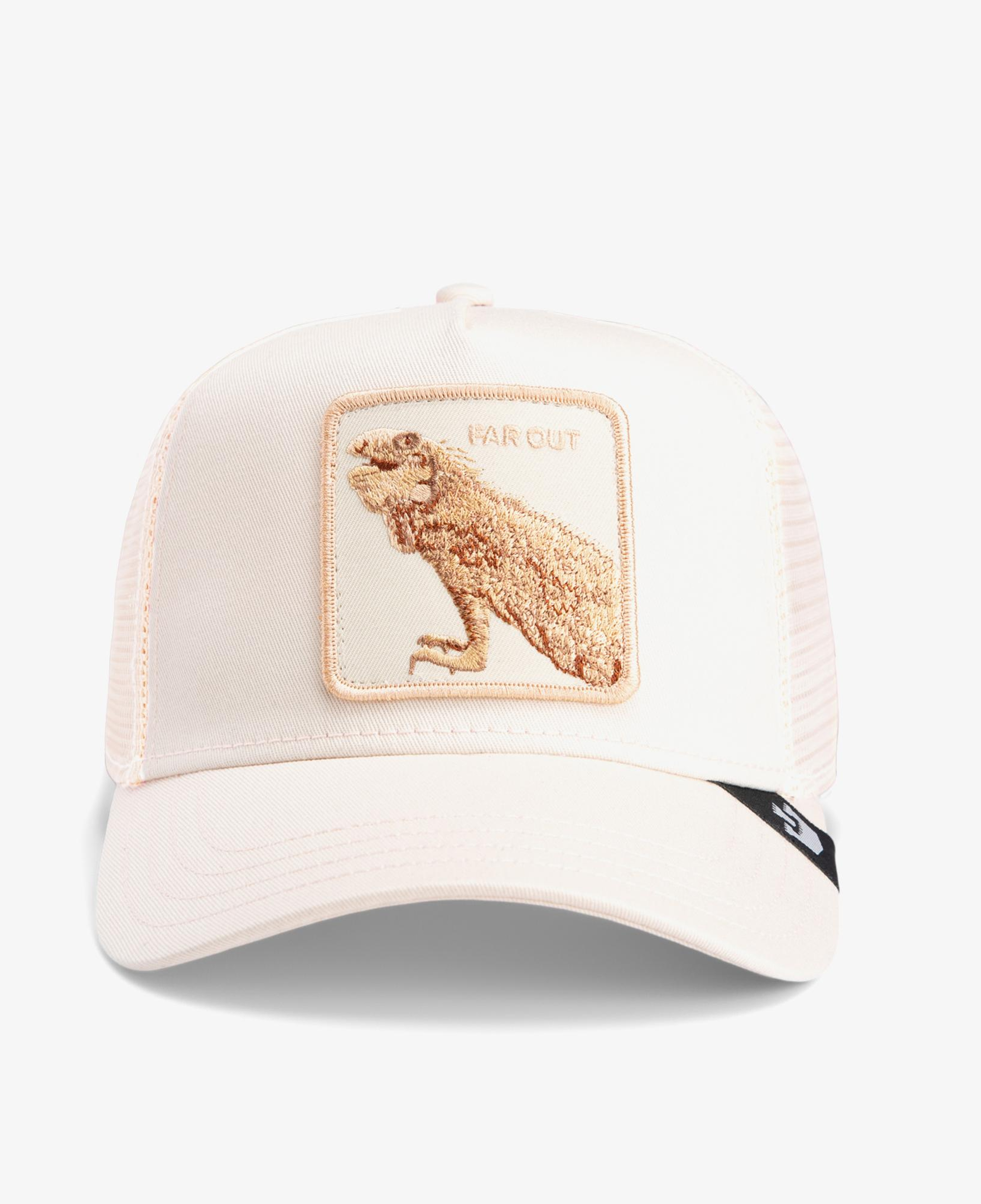 Goorin Bros Far Out Mirage Unisex Bej Şapka