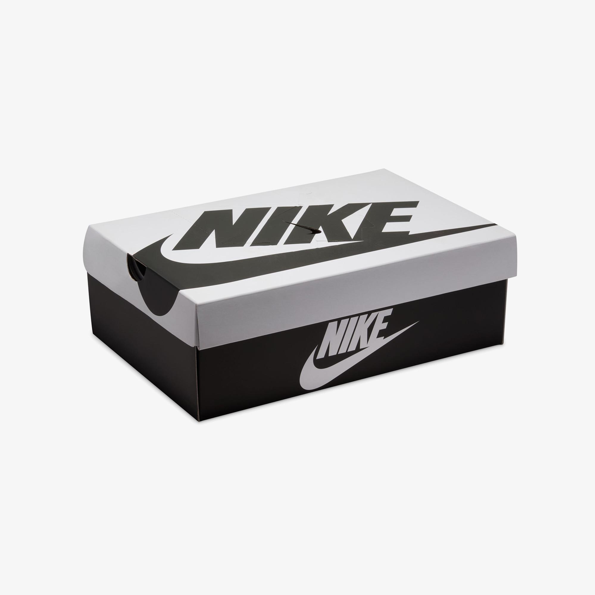 Nike Dunk Low Retro SE Erkek Mor Spor Ayakkabı