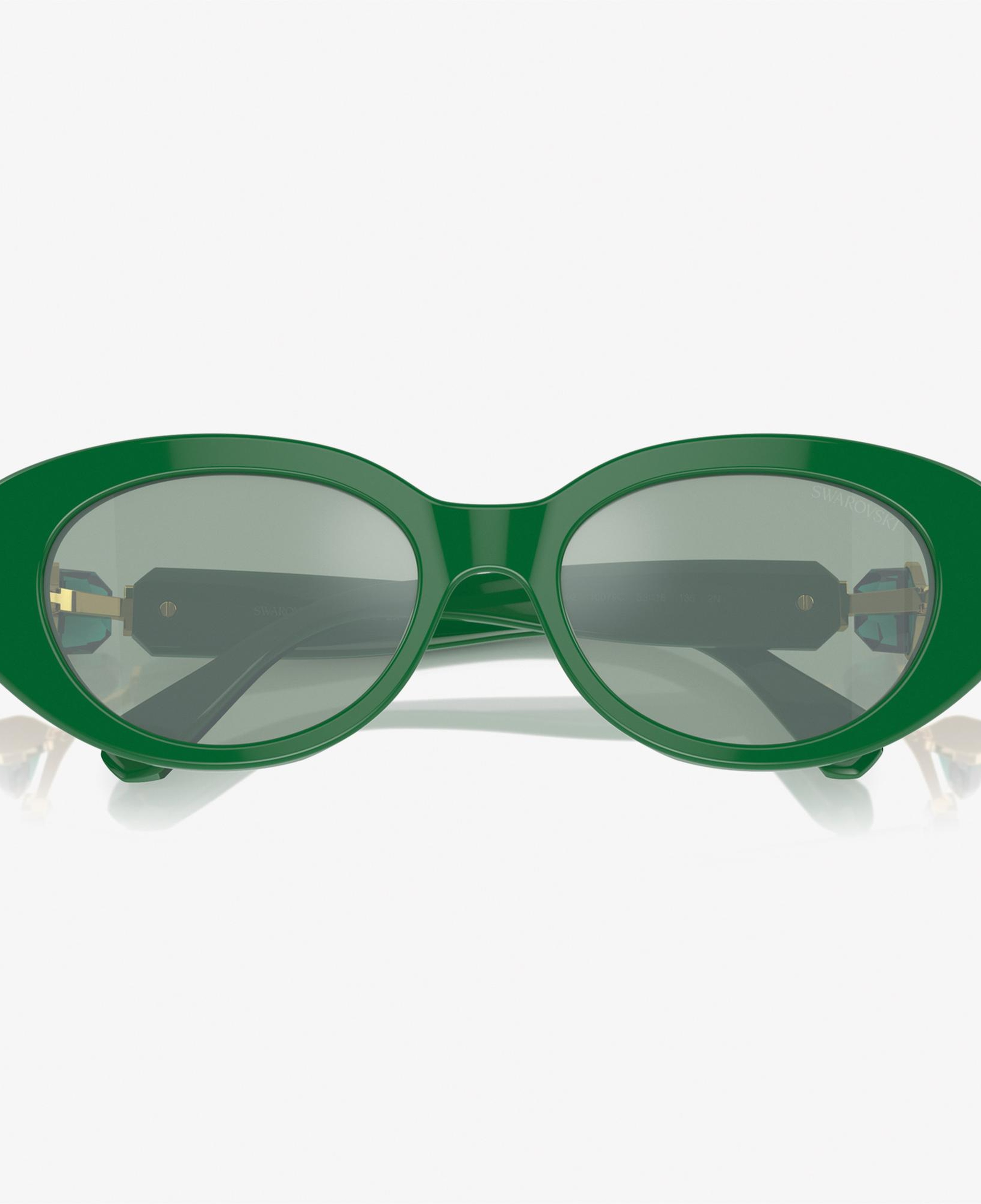Swarovski 0SK6002 Acetate Kadın Yeşil Güneş Gözlüğü