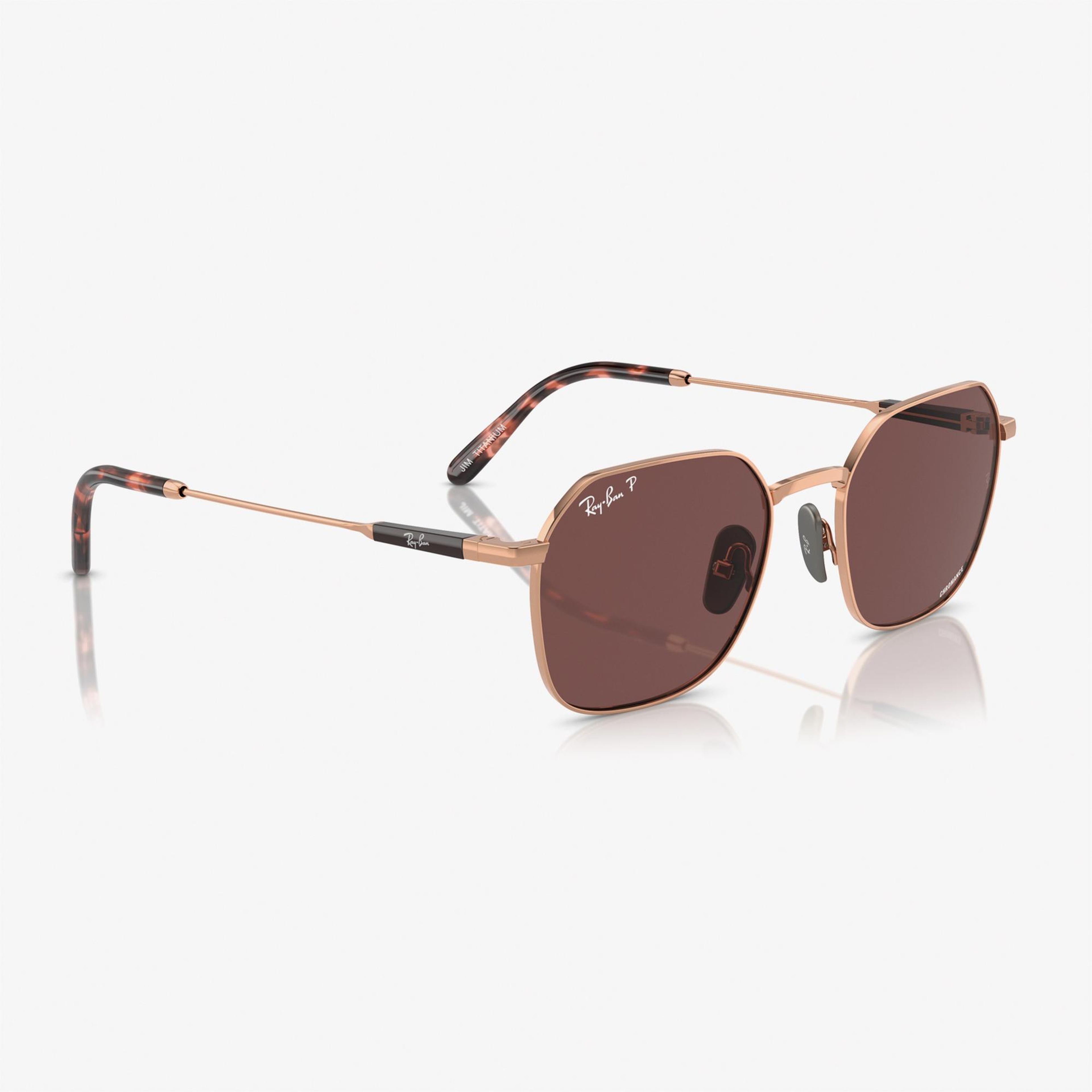 RAY-BAN 0RB8094 Titanium Unisex Kahverengi Güneş Gözlüğü