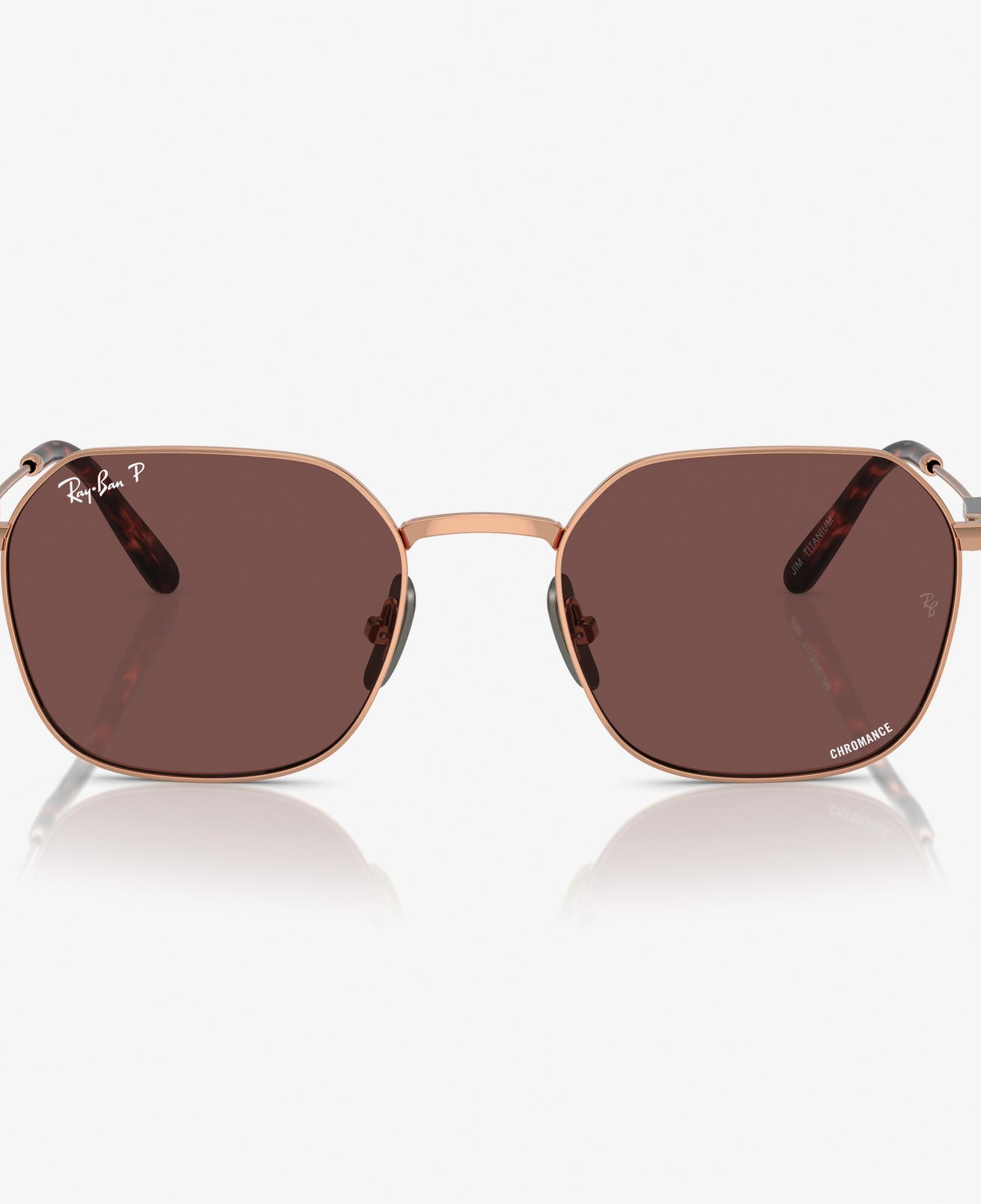 RAY-BAN 0RB8094 Titanium Unisex Kahverengi Güneş Gözlüğü