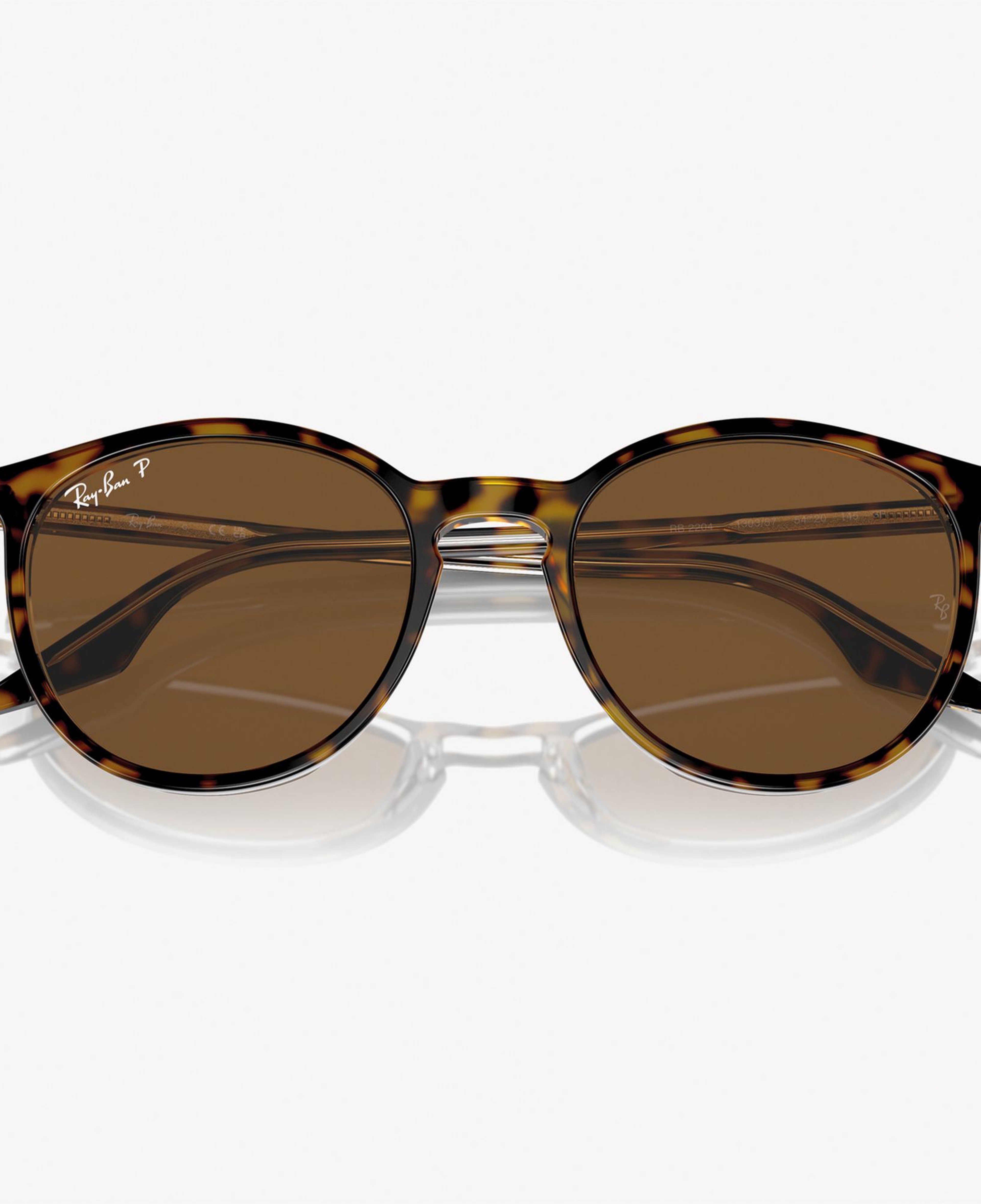 RAY-BAN 0RB2204 Acetate Unisex Kahverengi Güneş Gözlüğü