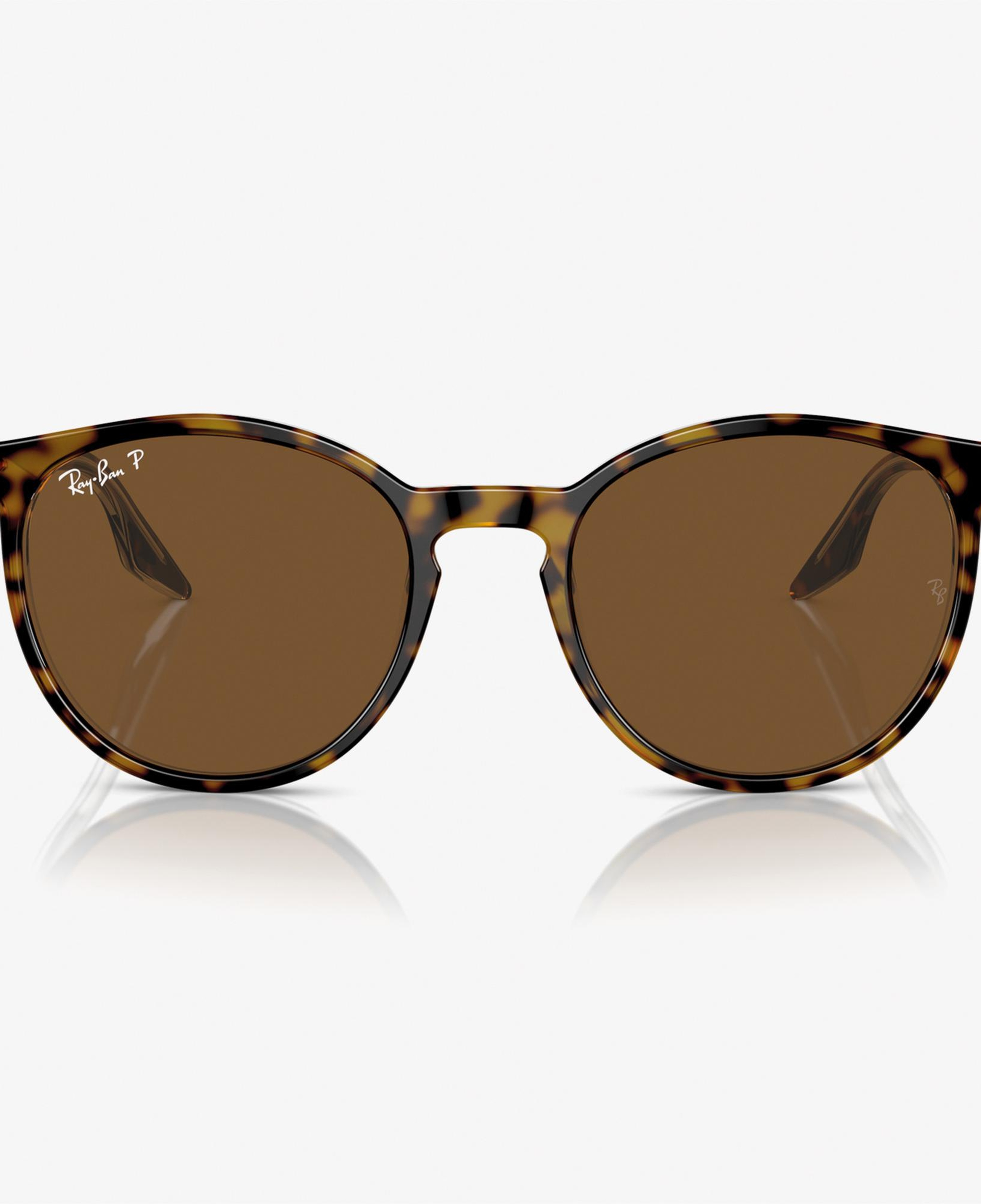 RAY-BAN 0RB2204 Acetate Unisex Kahverengi Güneş Gözlüğü