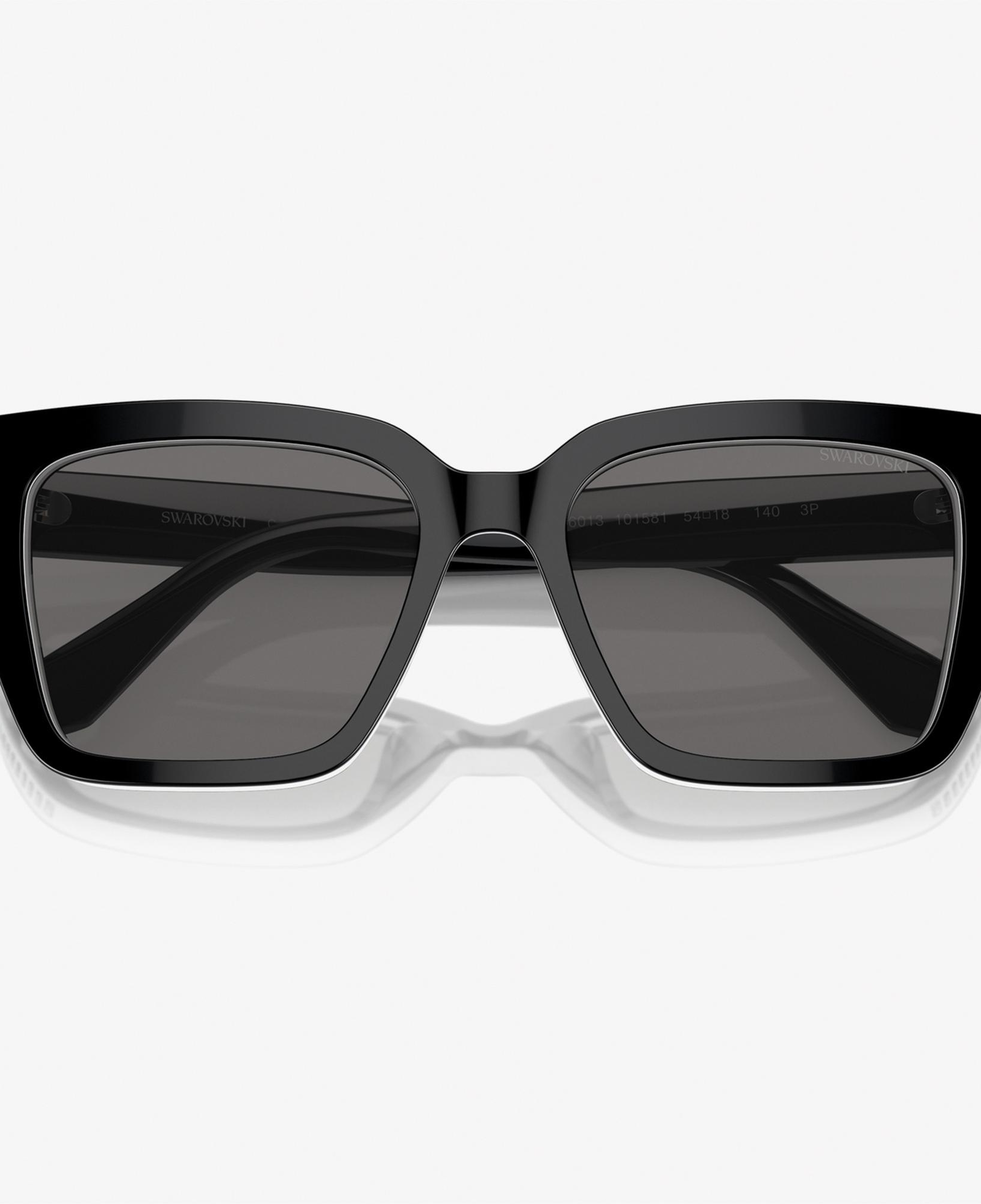 Swarovski 0SK6013 Acetate Kadın Siyah Güneş Gözlüğü