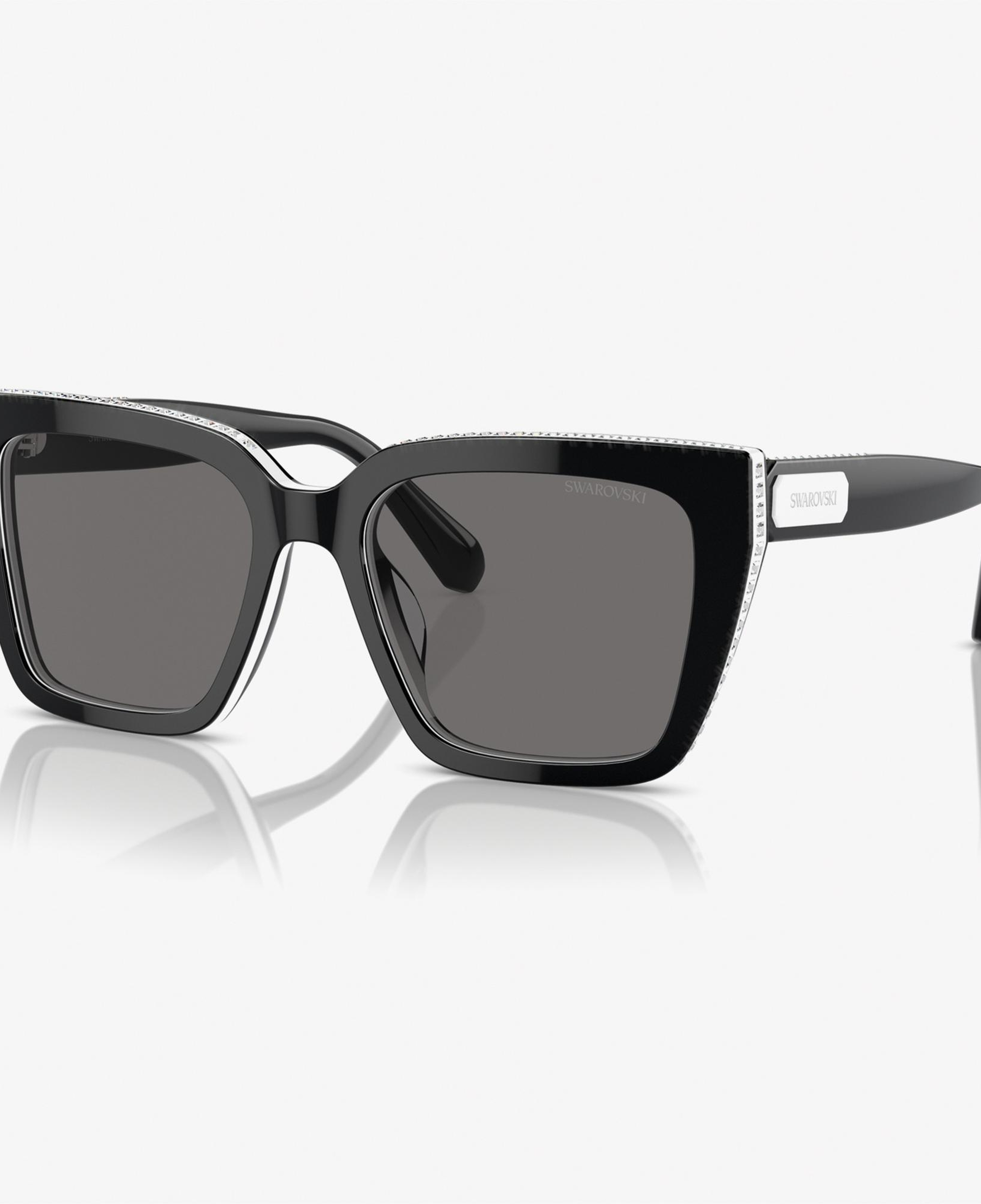 Swarovski 0SK6013 Acetate Kadın Siyah Güneş Gözlüğü