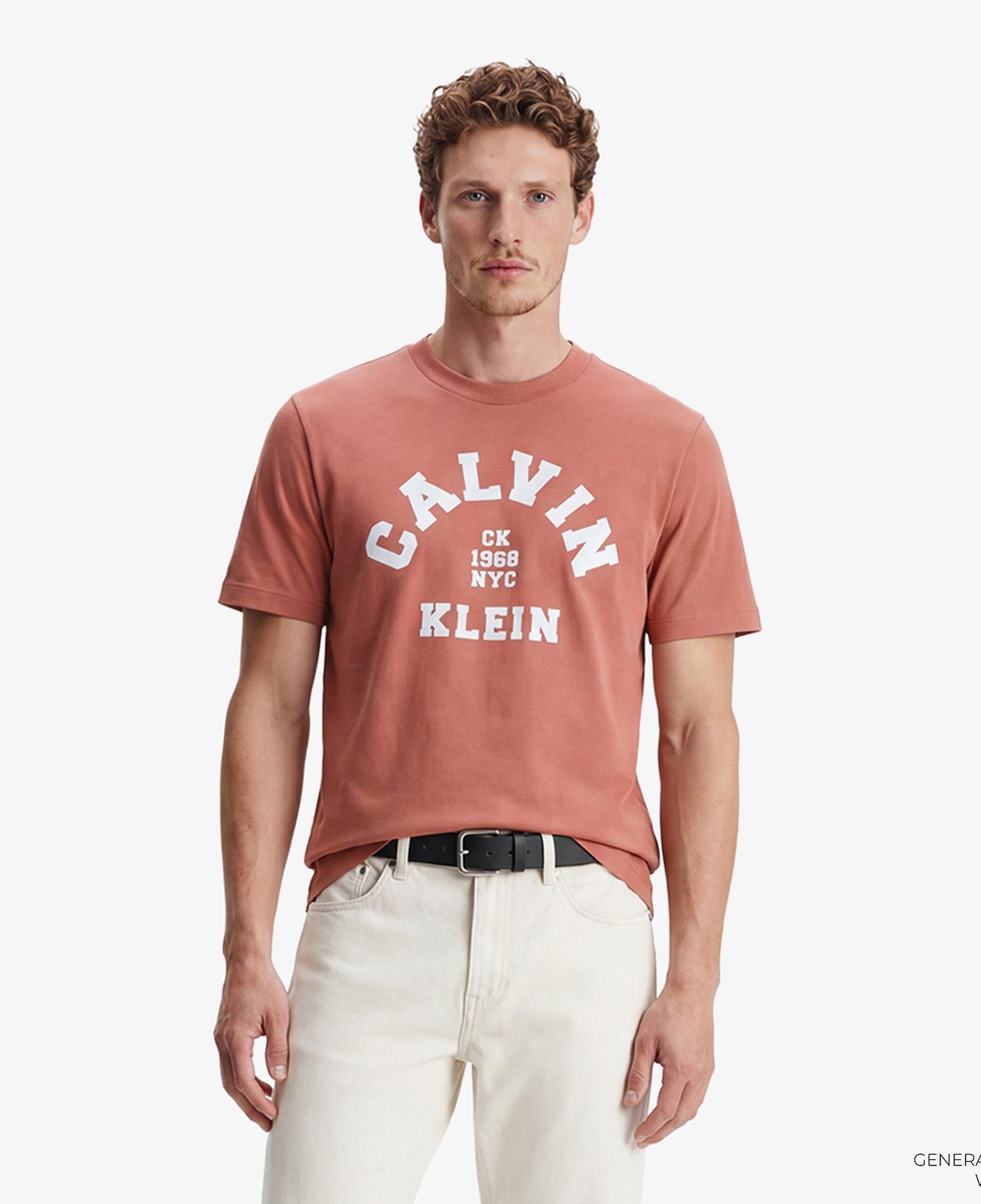 Calvin Klein 20S College Graphic Erkek Kahverengi T-Shirt