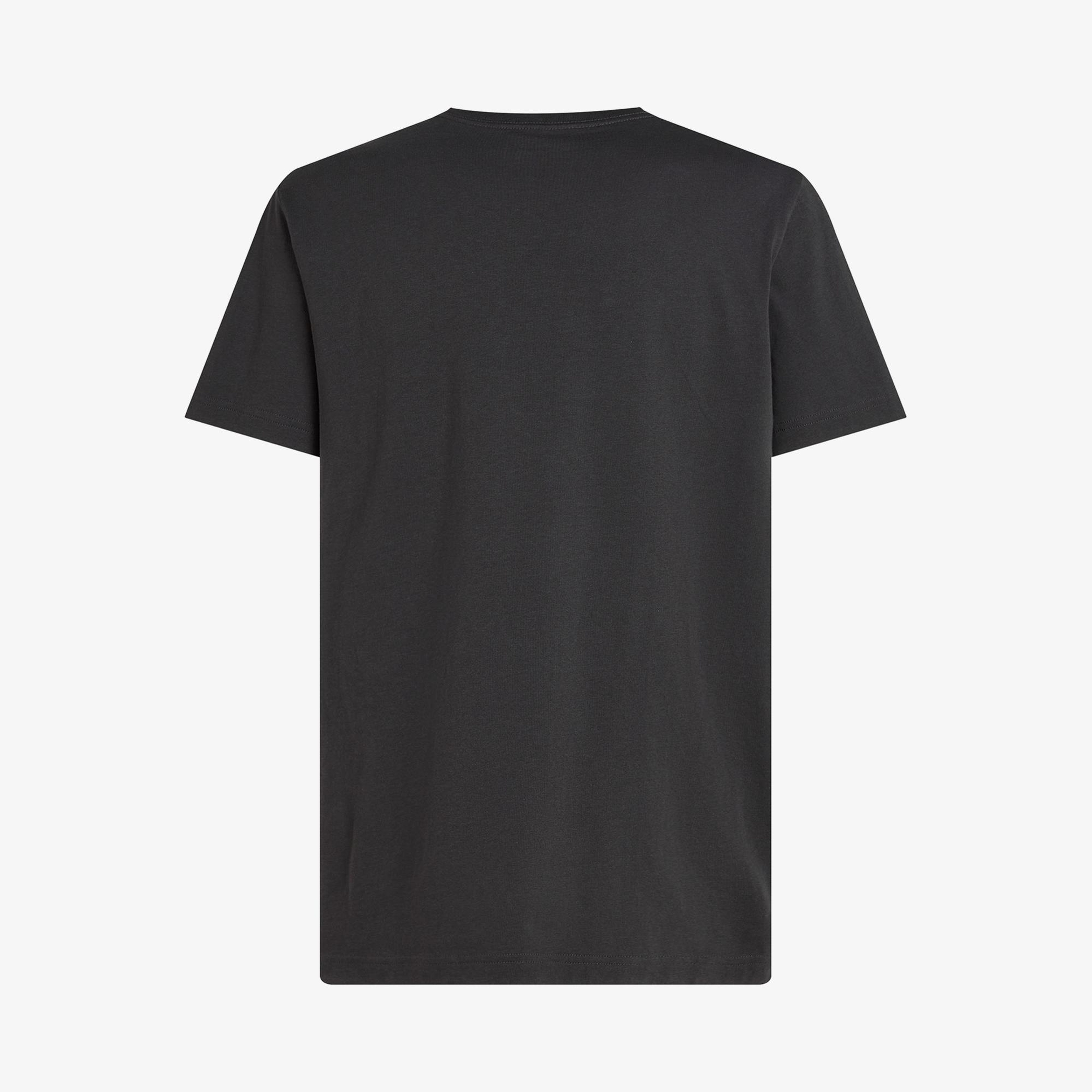 Calvin Klein Label Print Erkek Siyah T-Shirt