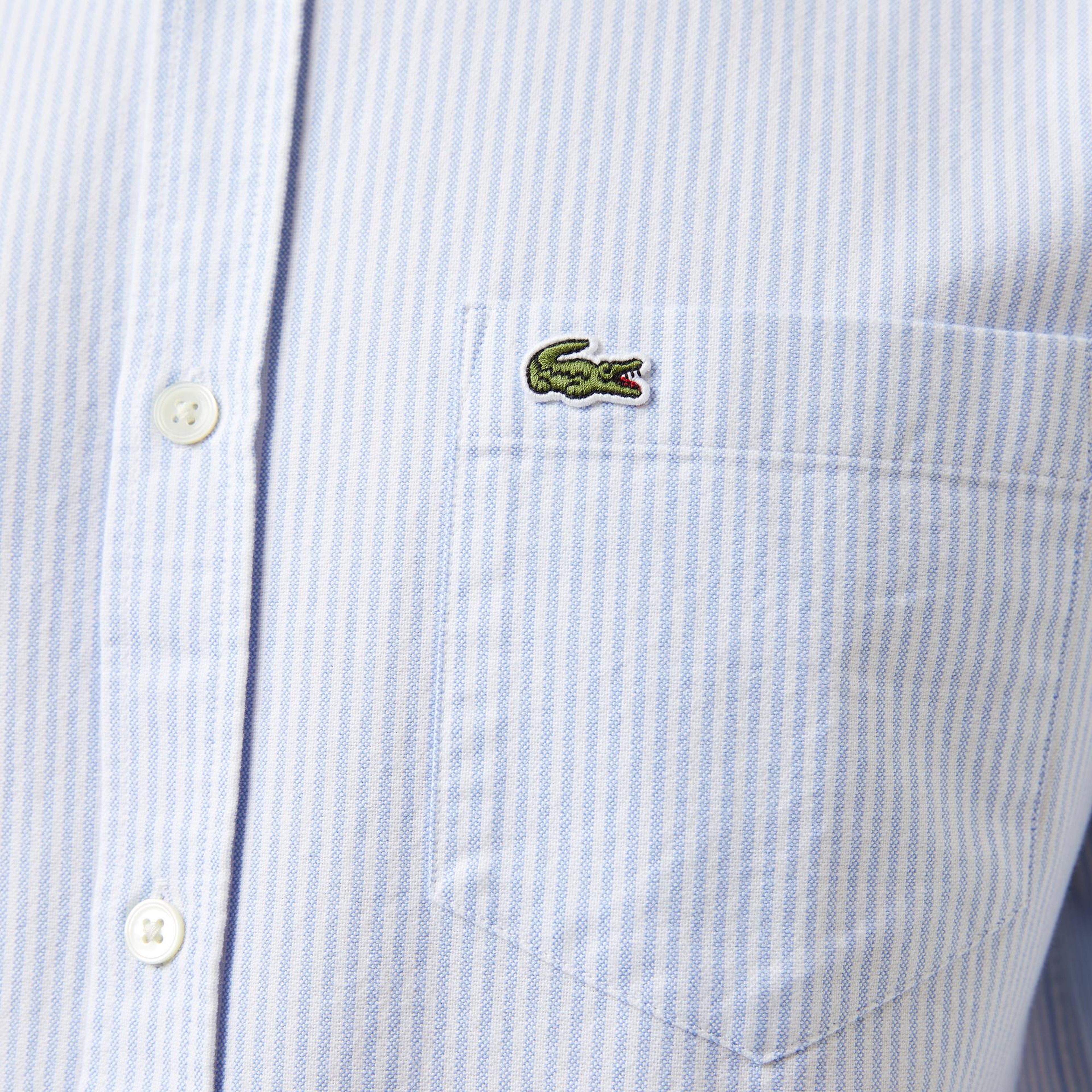 Lacoste Erkek Regular Fit Çizgili Açık Mavi Gömlek