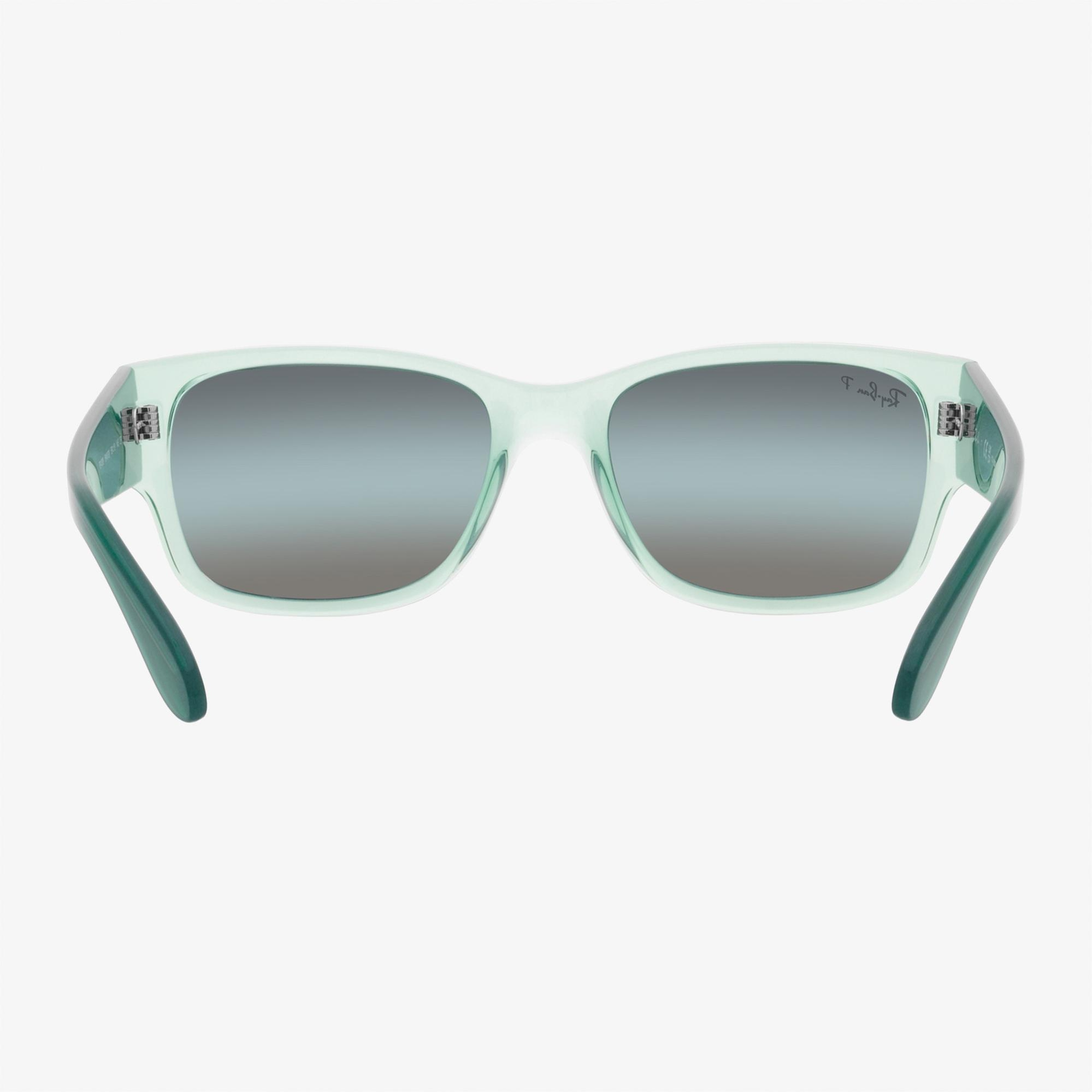 RAY-BAN 0RB4388 Unisex Yeşil Güneş Gözlüğü