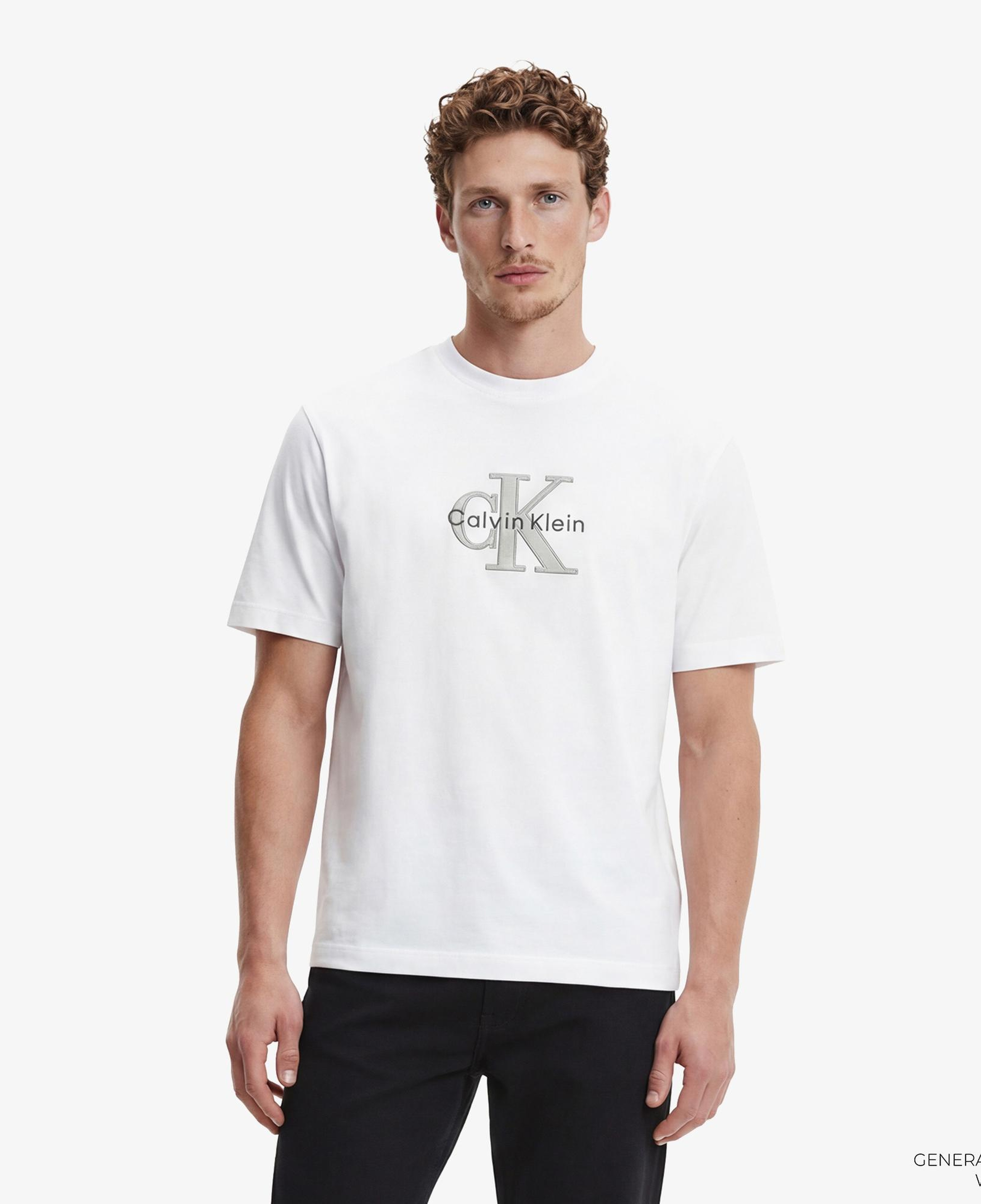 Calvin Klein Tricolor Monologo Graphic Erkek Beyaz T-Shirt
